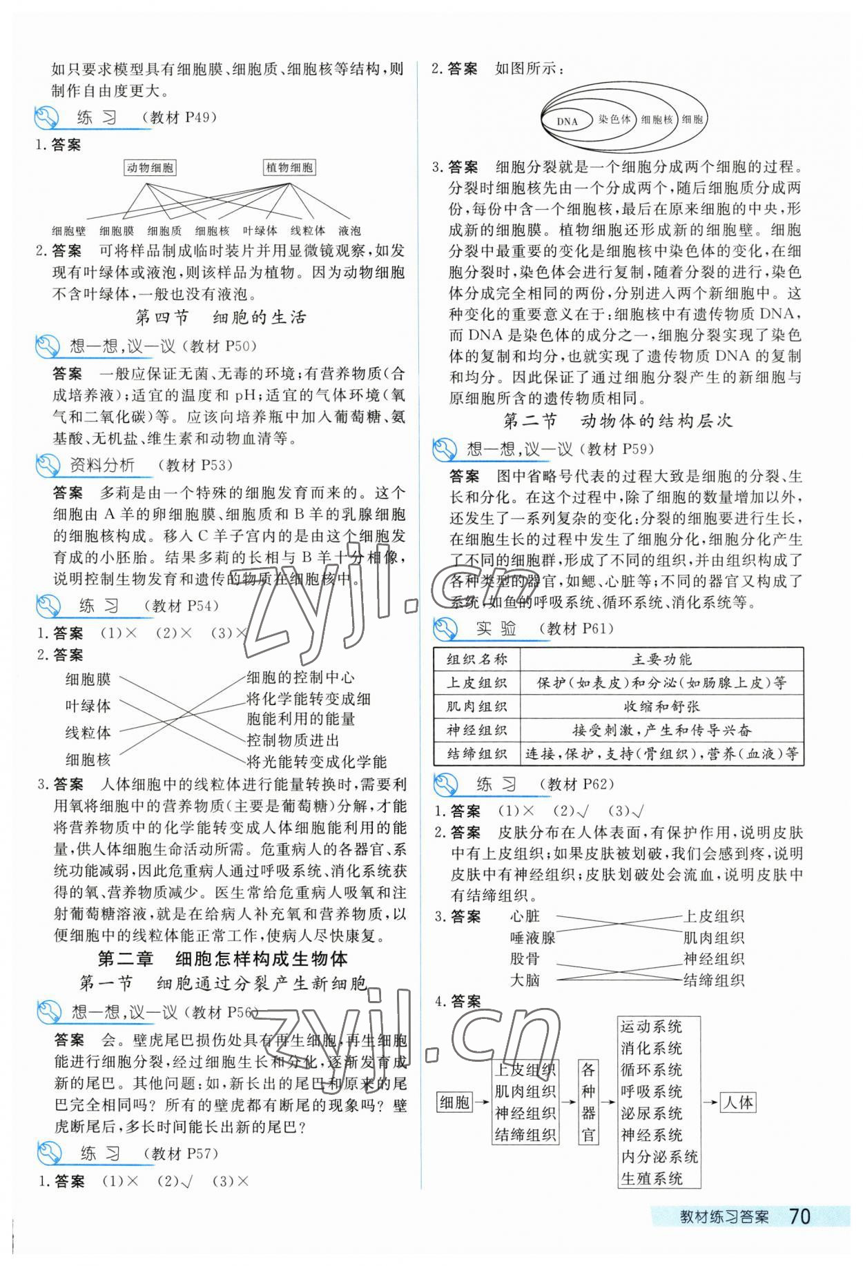 2023年探究在線高效課堂七年級生物上冊人教版 第4頁