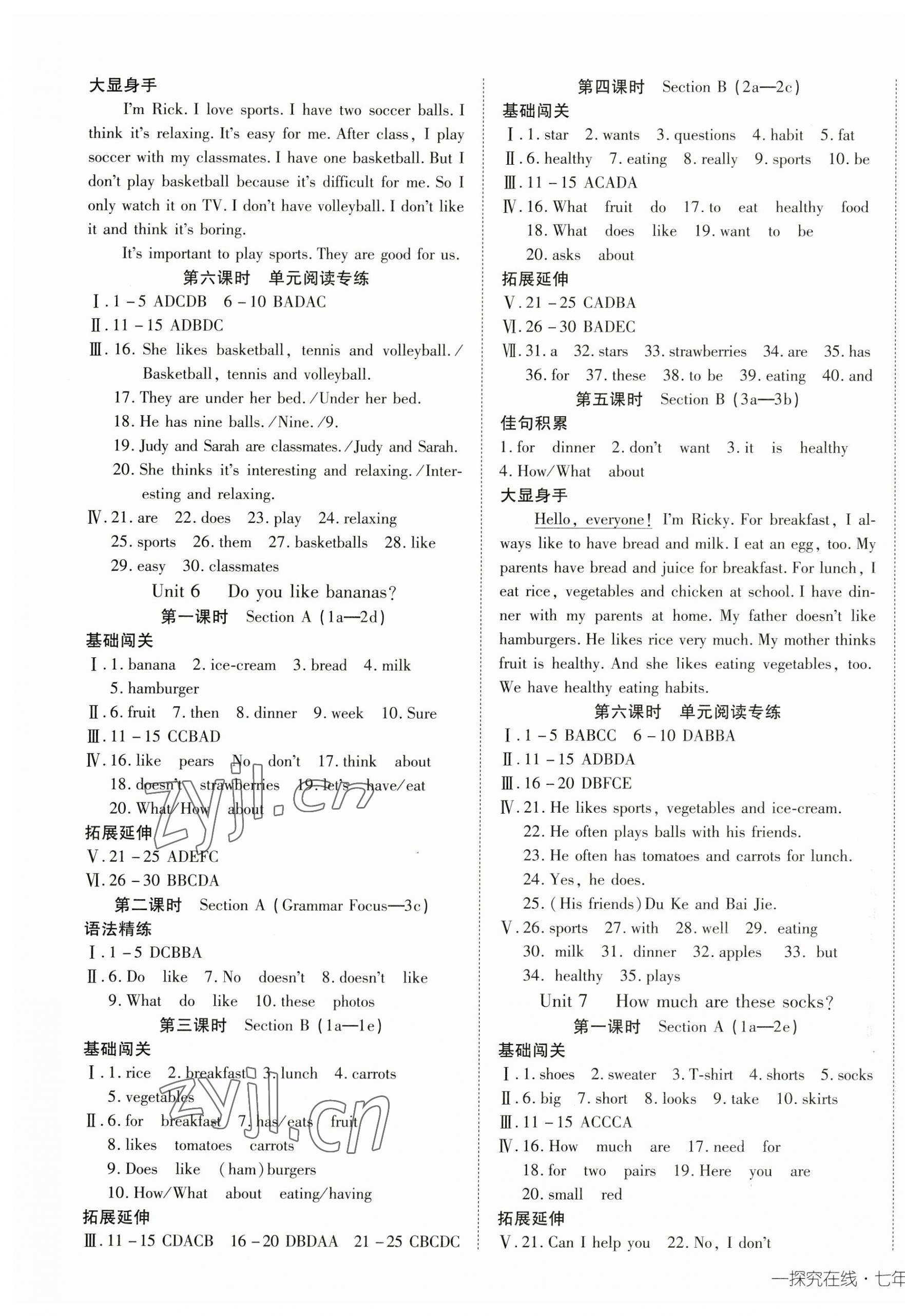 2023年探究在线高效课堂七年级英语上册人教版 第3页