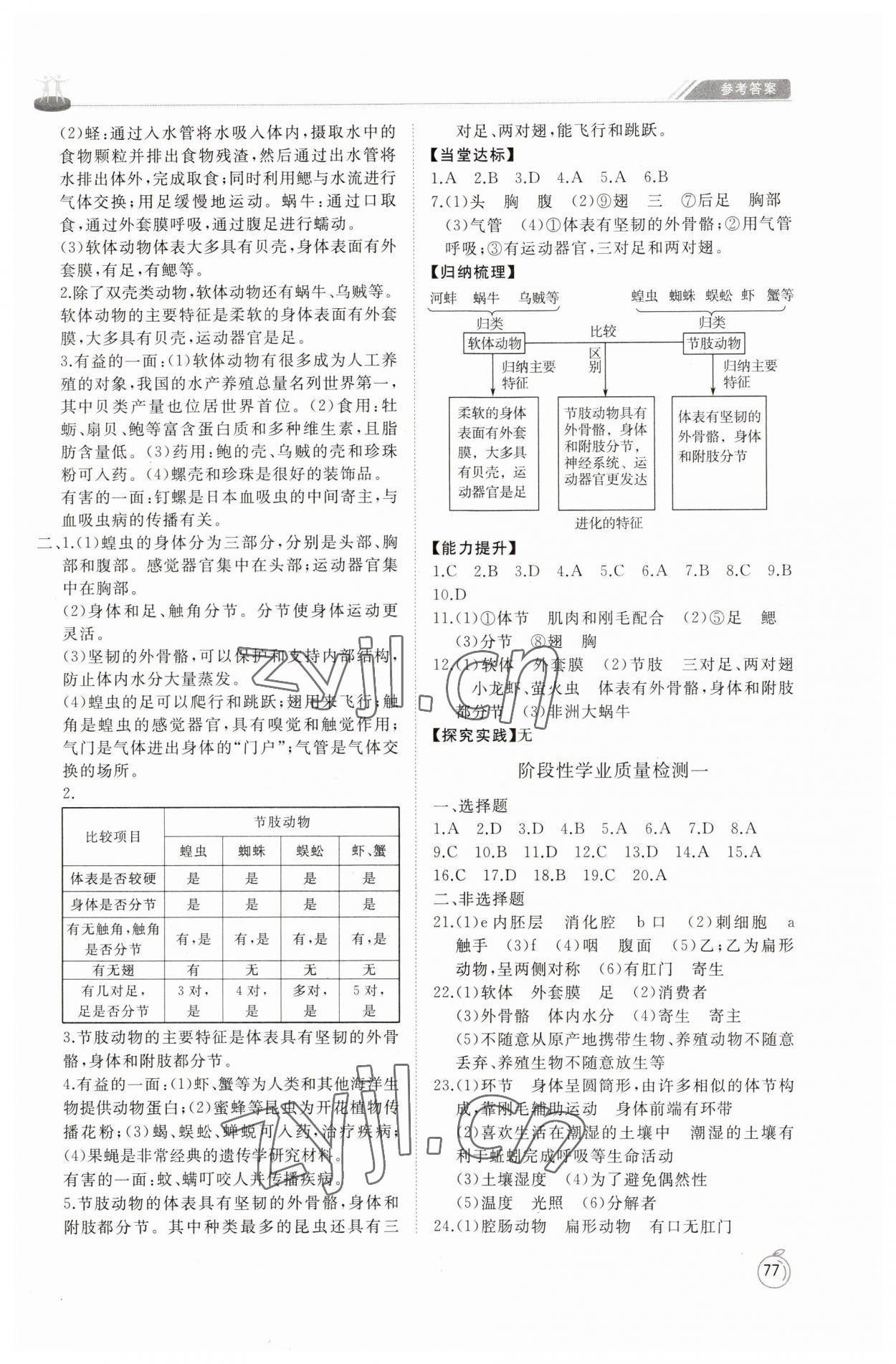 2023年同步练习册山东友谊出版社八年级生物上册鲁科版54制 第3页