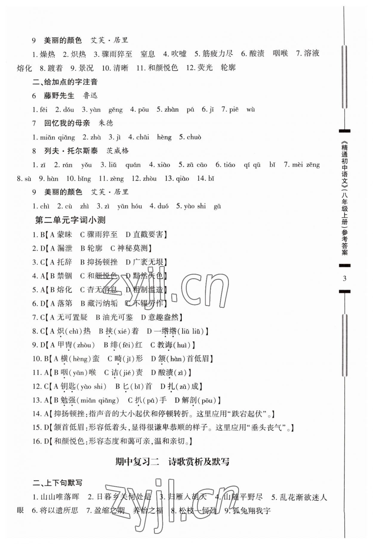 2023年精通初中语文八年级上册人教版 参考答案第3页