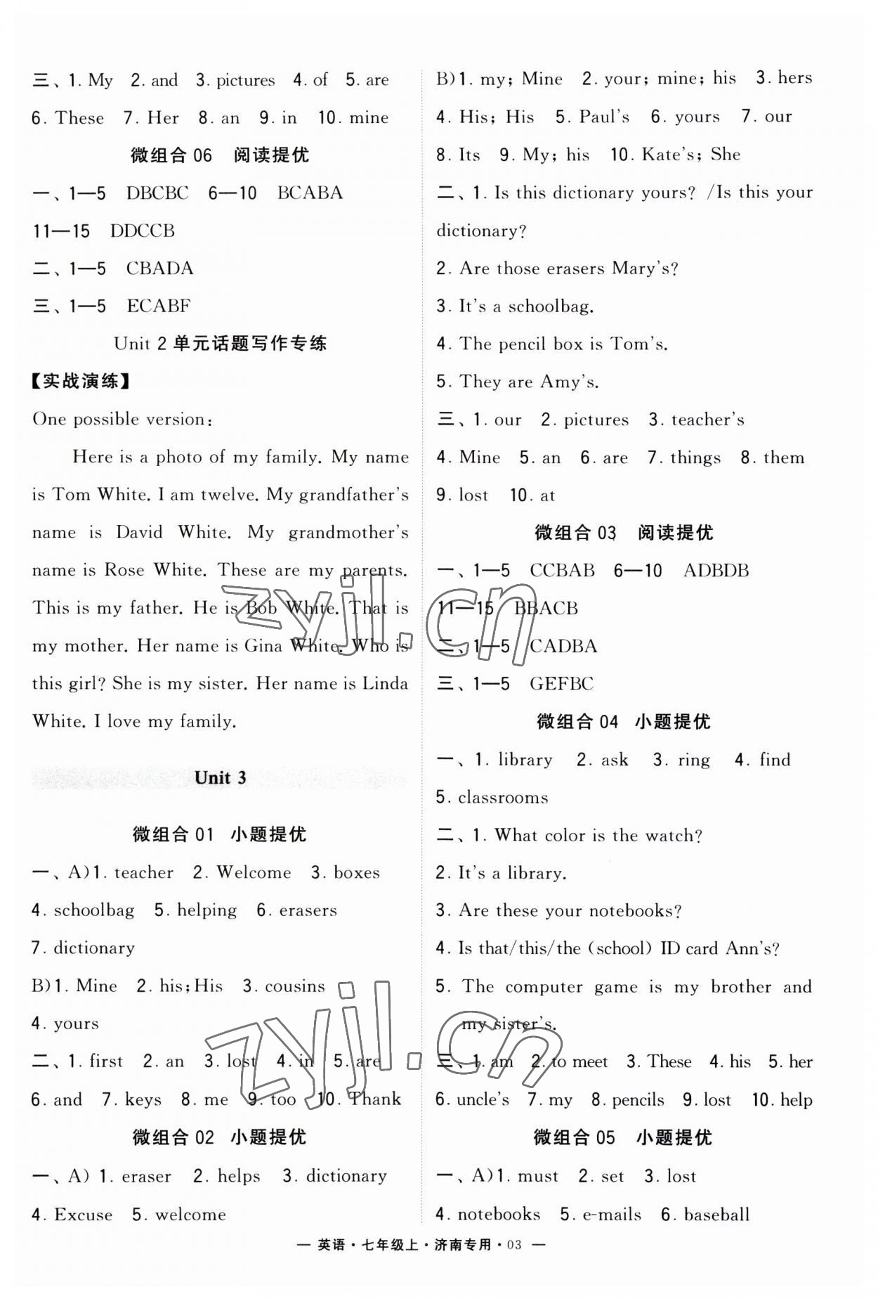 2023年學霸組合訓練七年級英語上冊人教版濟南專版 第3頁