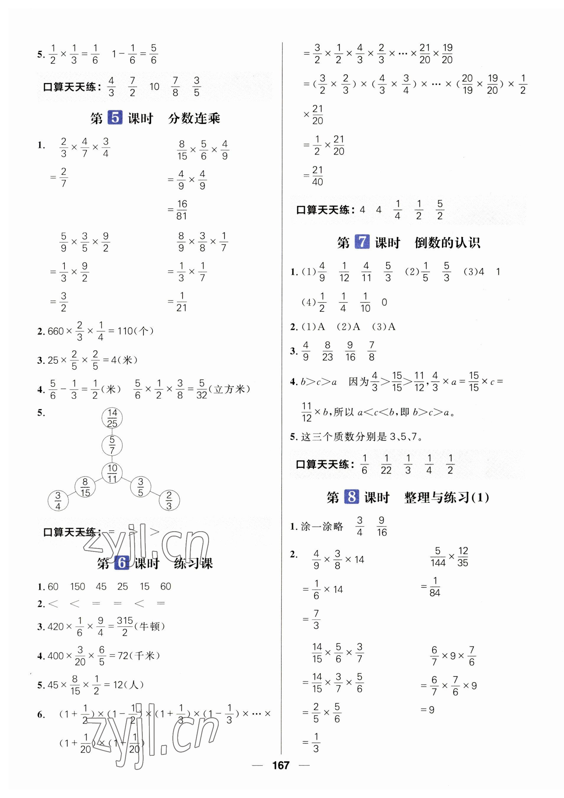 2023年核心素養(yǎng)天天練六年級數(shù)學(xué)上冊蘇教版 第5頁