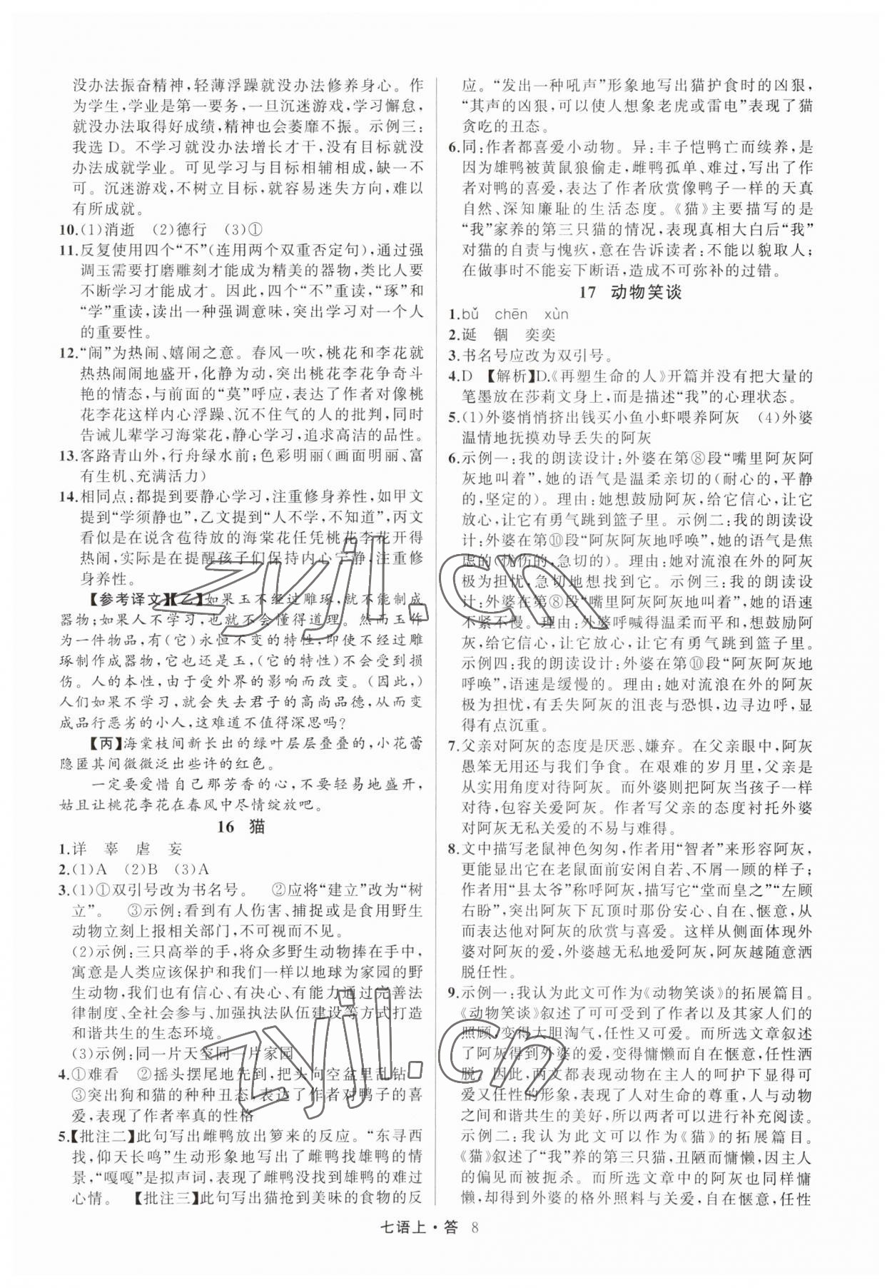 2023年名師面對面滿分特訓(xùn)方案七年級語文上冊人教版浙江專版 參考答案第8頁