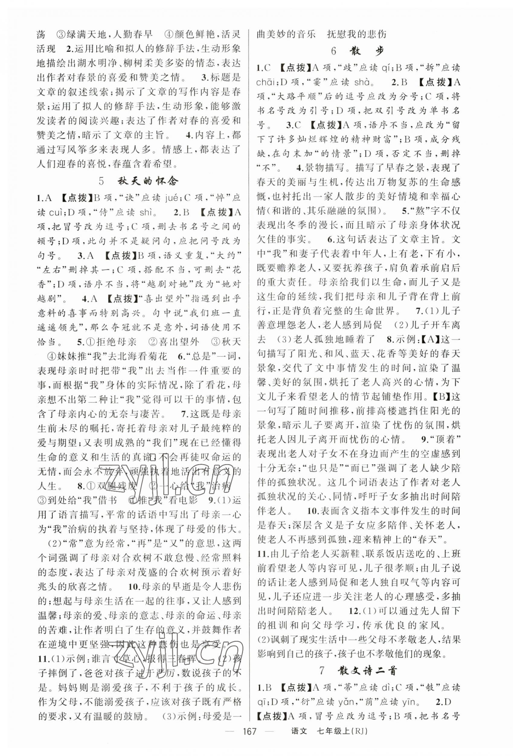 2023年原創(chuàng)新課堂七年級語文上冊人教版紅品谷 第3頁