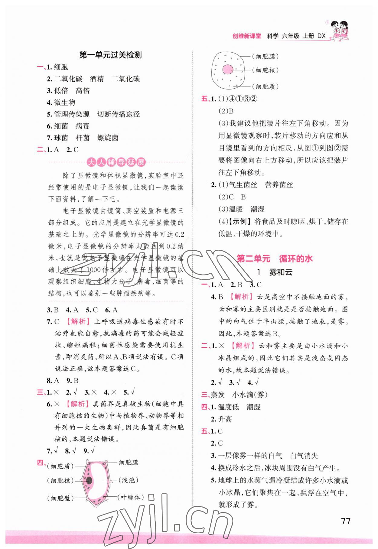 2023年創(chuàng)維新課堂六年級科學上冊大象版 參考答案第3頁