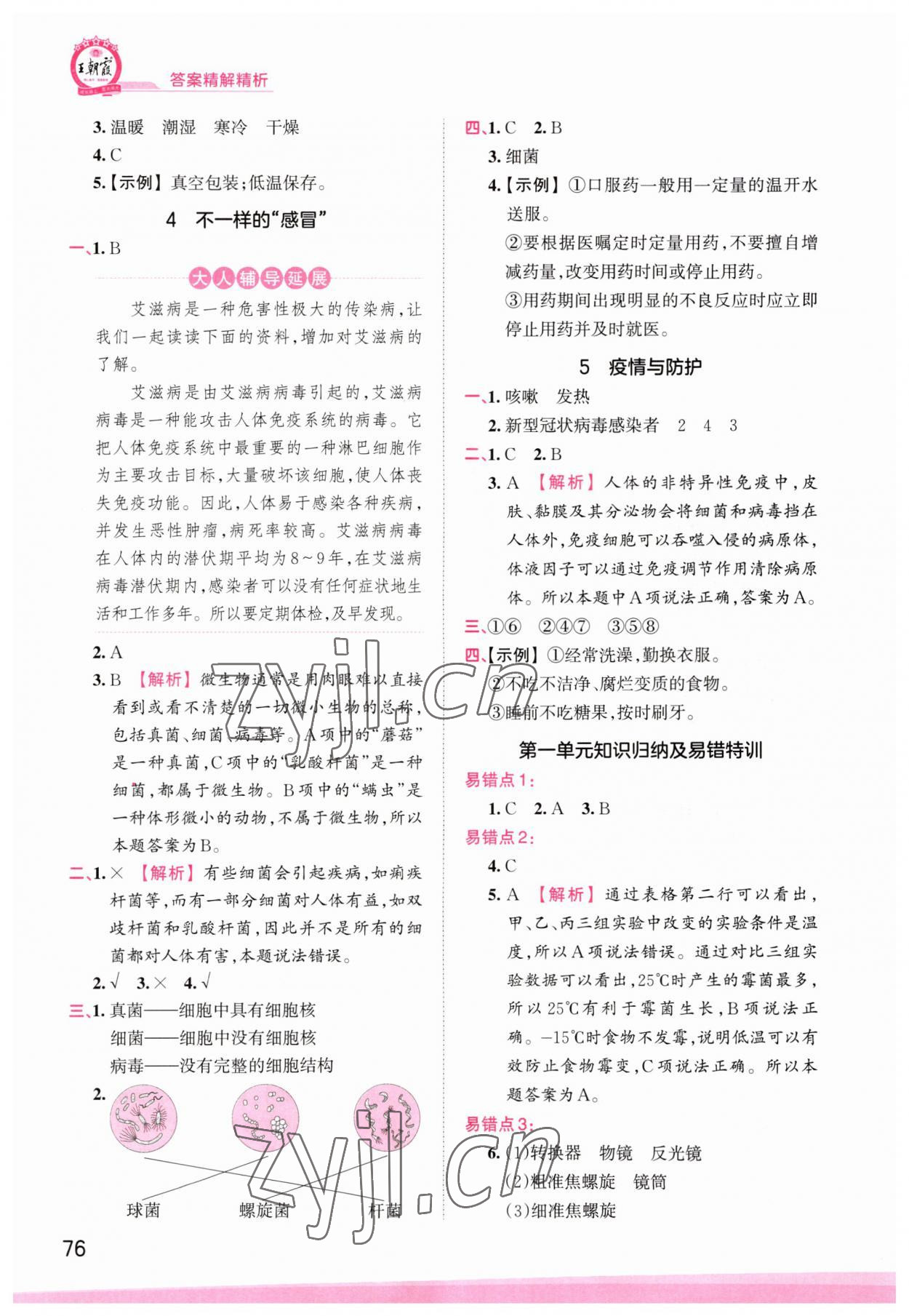 2023年創(chuàng)維新課堂六年級(jí)科學(xué)上冊(cè)大象版 參考答案第2頁