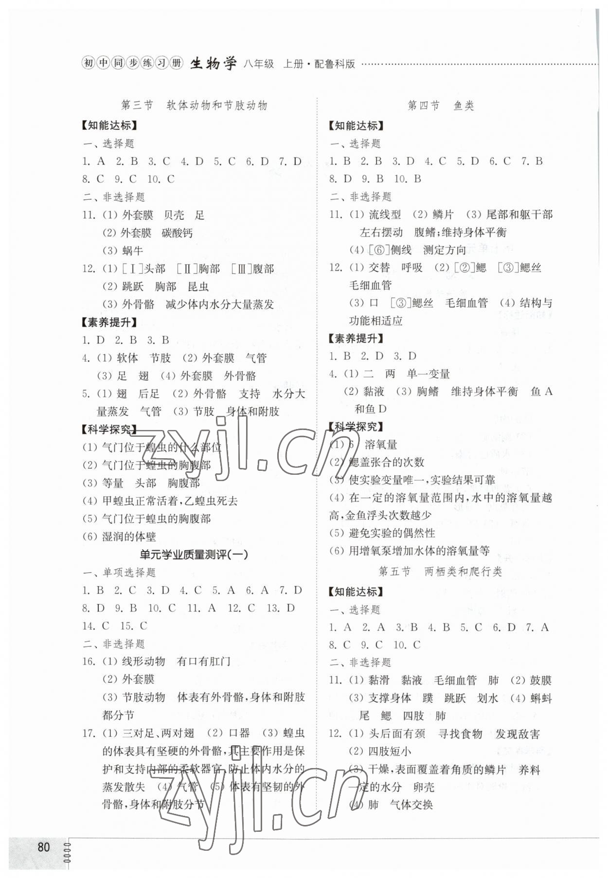 2023年初中同步练习册八年级生物学上册鲁科版54制山东教育出版社 第2页