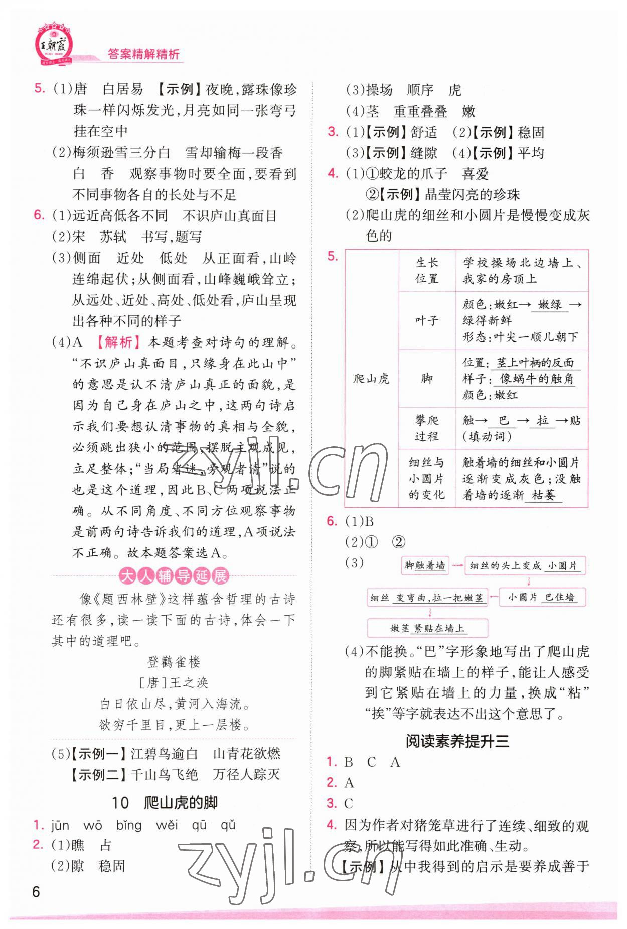 2023年創(chuàng)維新課堂四年級(jí)語(yǔ)文上冊(cè)人教版 第6頁(yè)