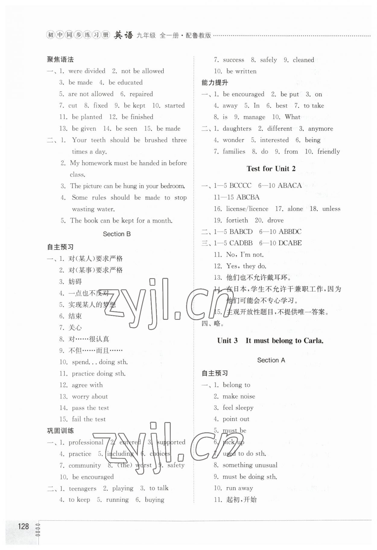 2023年同步練習(xí)冊山東教育出版社九年級英語全一冊魯教版54制 參考答案第3頁