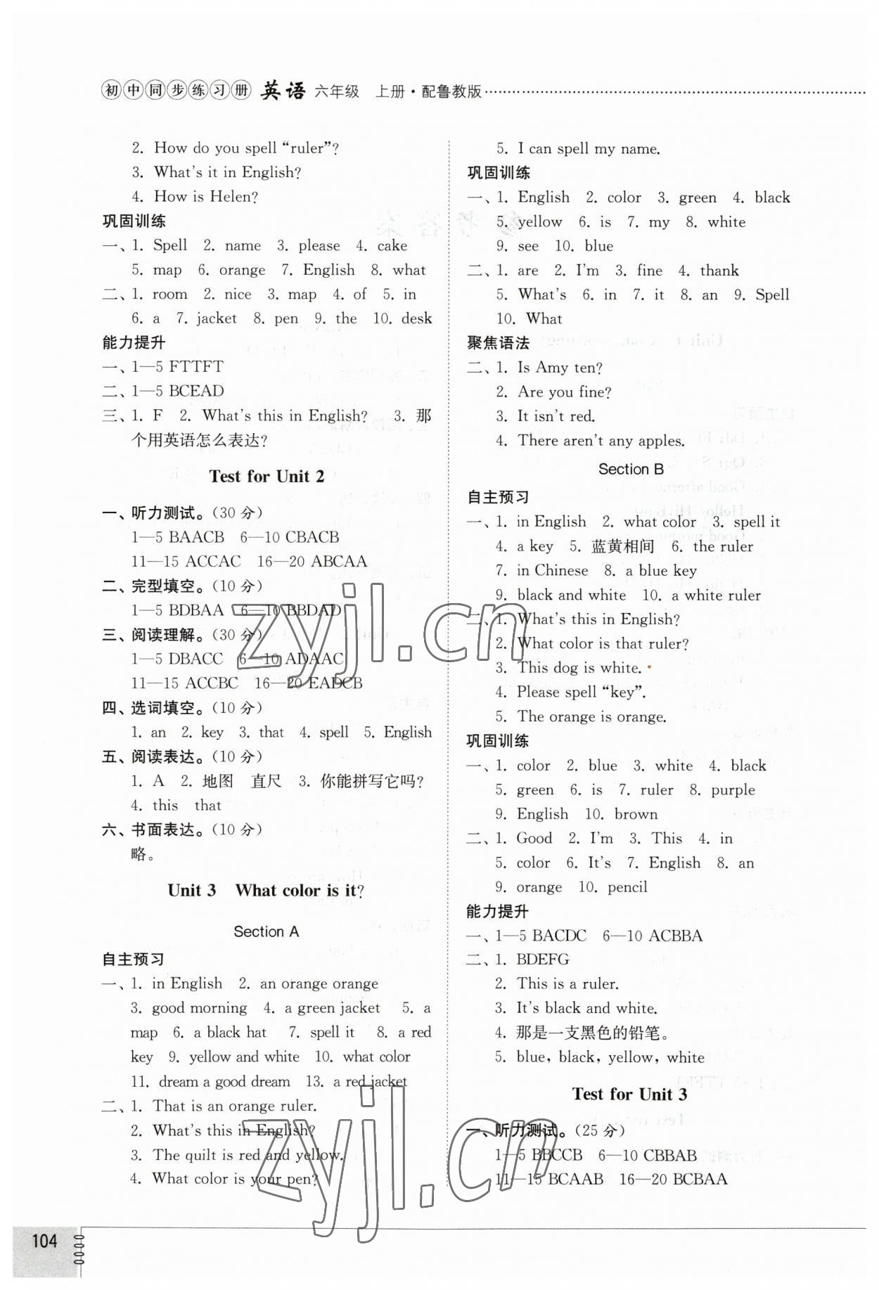 2023年同步练习册山东教育出版社六年级英语上册鲁教版54制 第2页