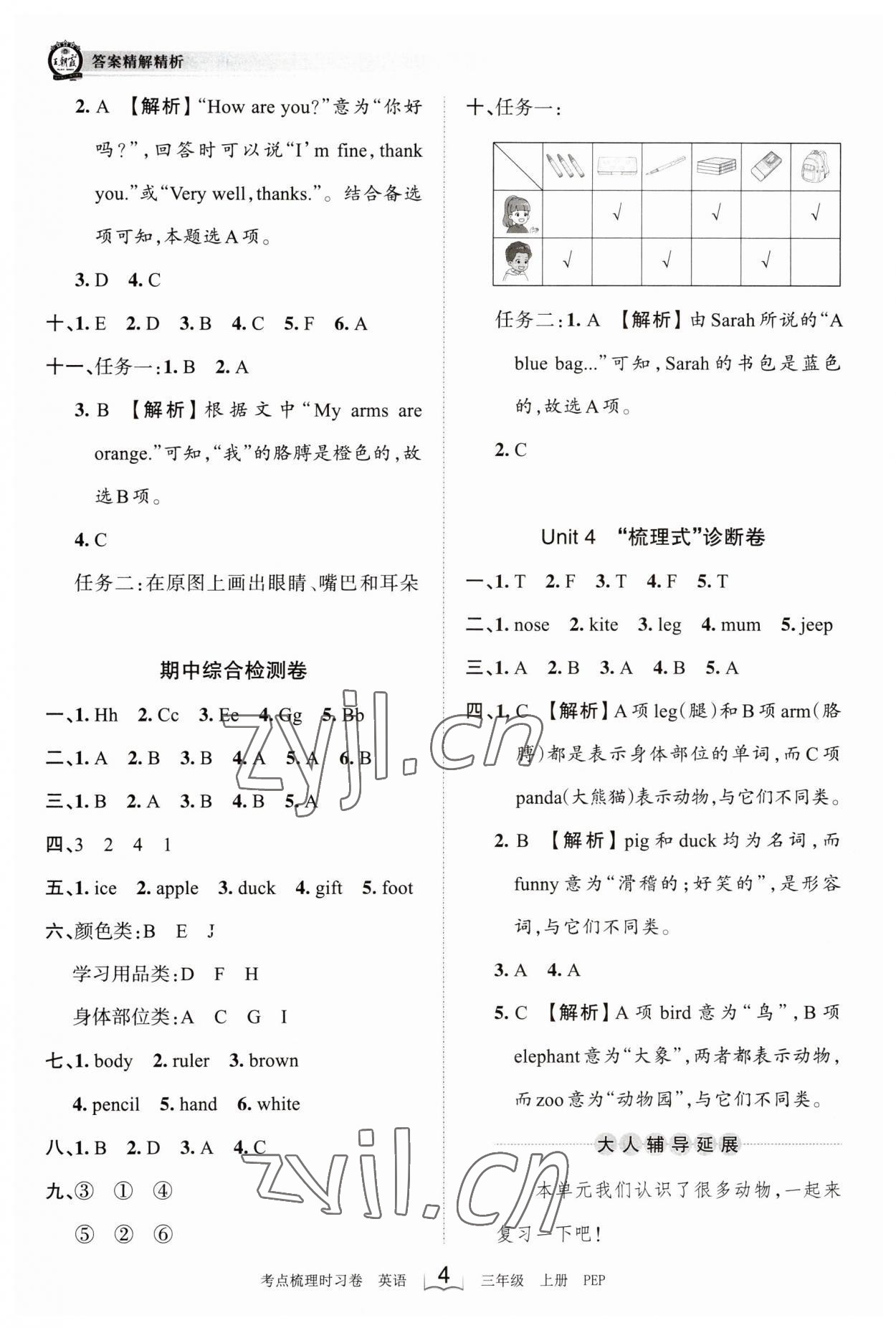 2023年王朝霞考点梳理时习卷三年级英语上册人教版 第4页