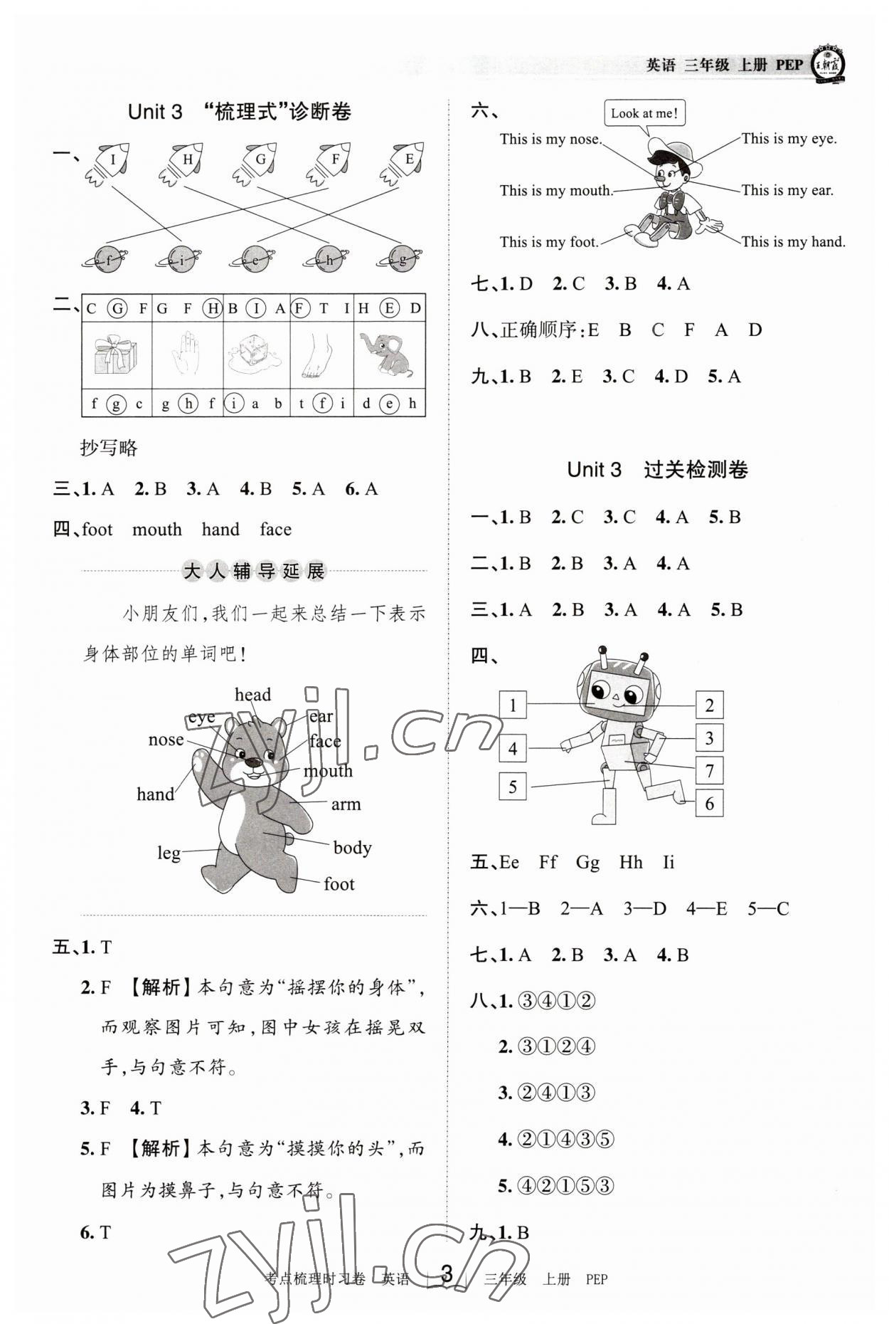 2023年王朝霞考点梳理时习卷三年级英语上册人教版 第3页