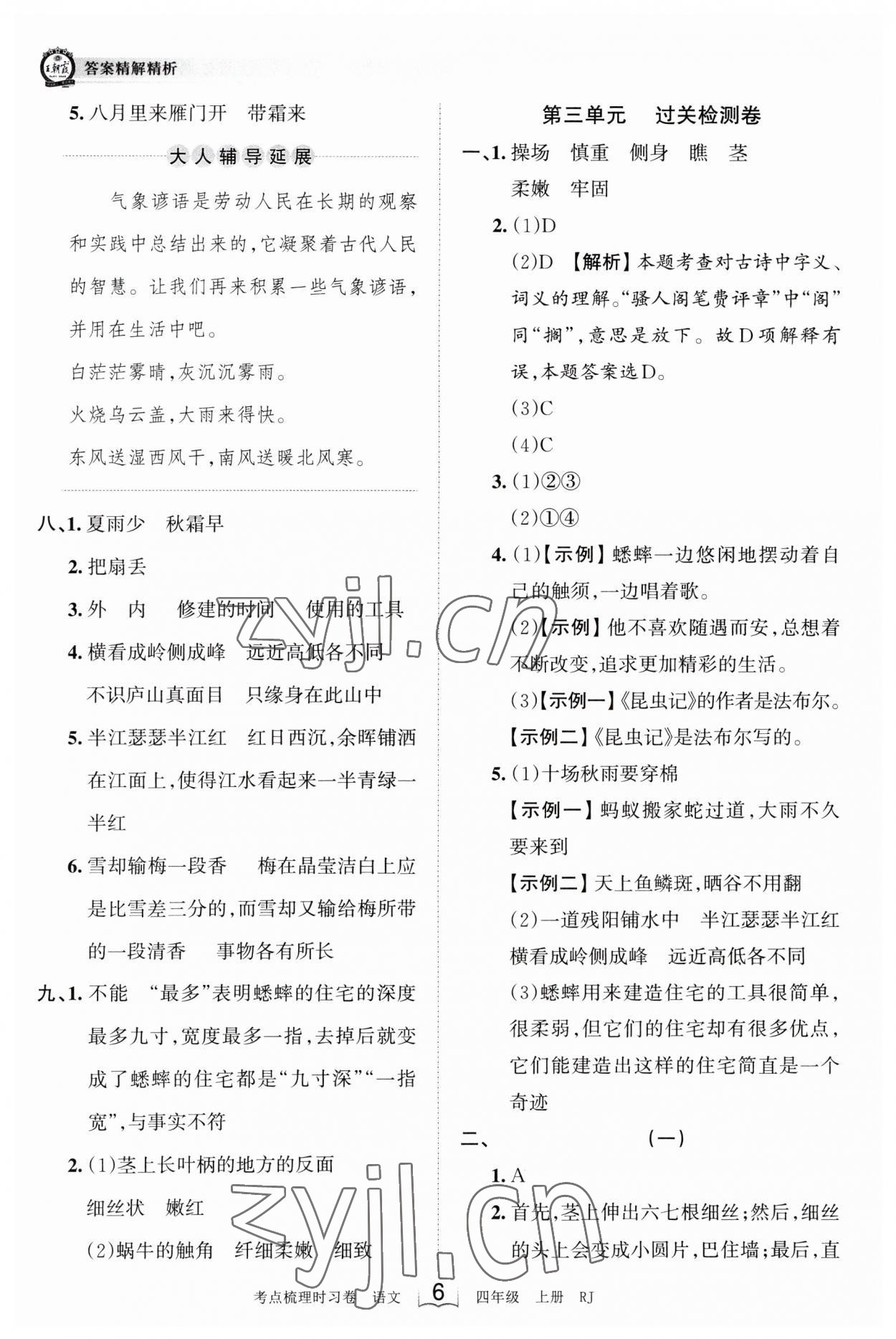 2023年王朝霞考点梳理时习卷四年级语文上册人教版 第6页