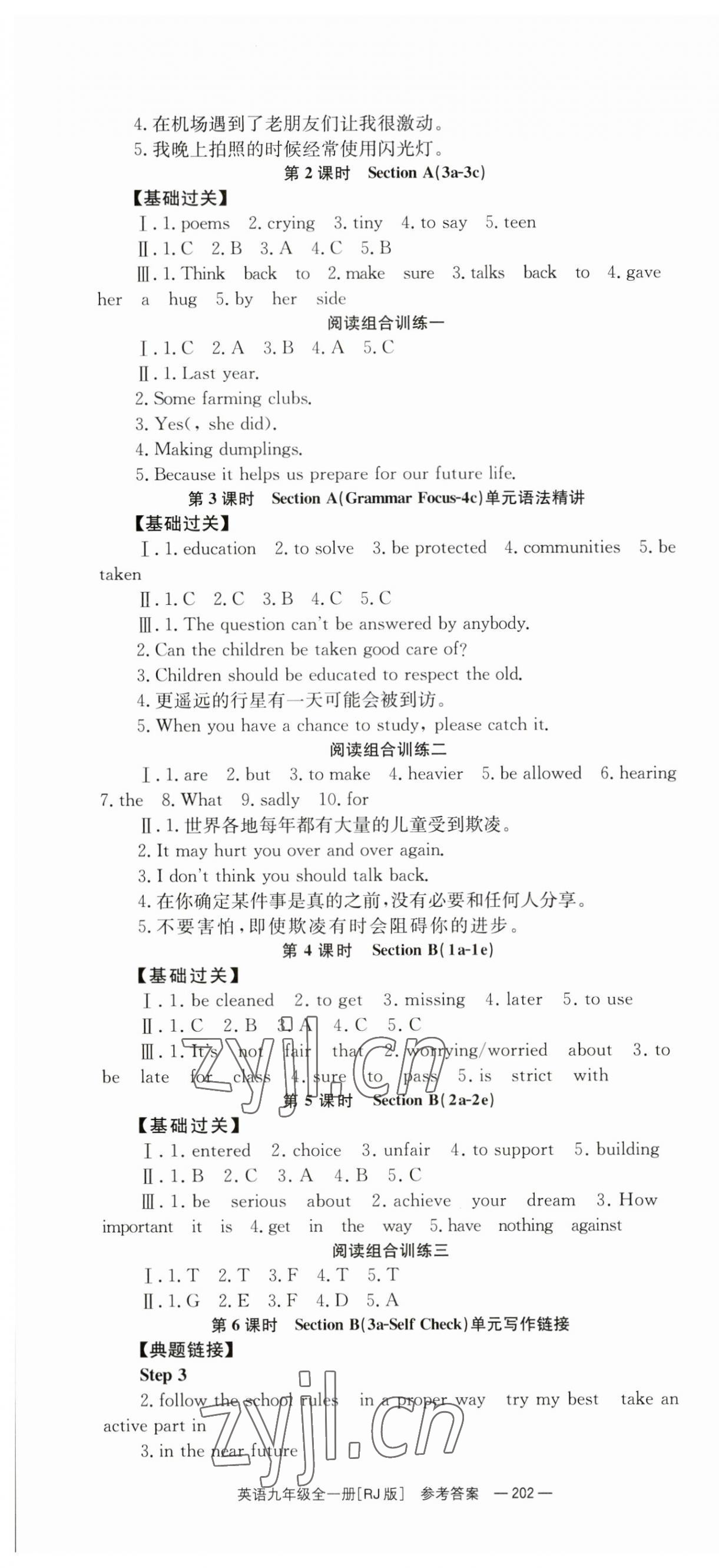 2023年全效學(xué)習(xí)同步學(xué)練測九年級英語全一冊人教版 第10頁