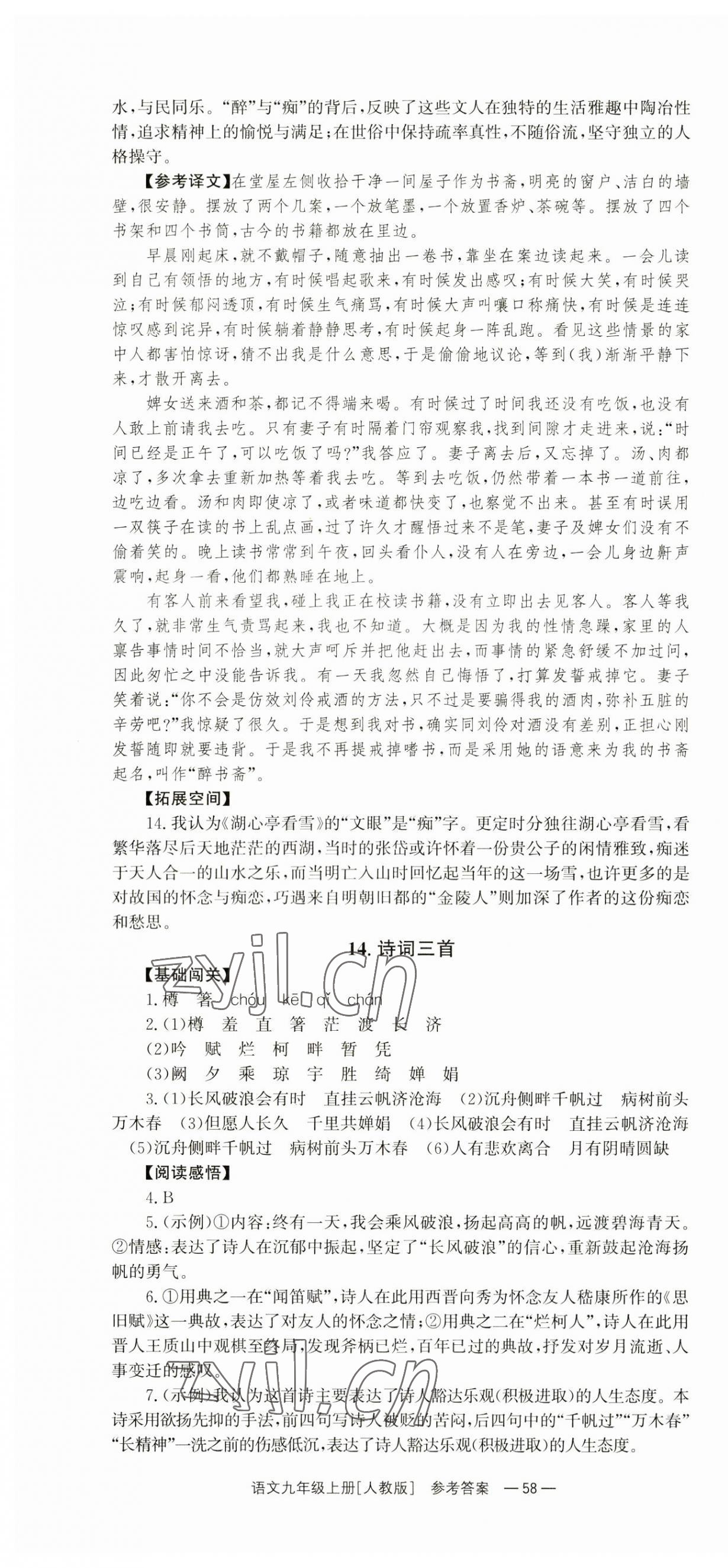 2023年全效學(xué)習(xí)同步學(xué)練測(cè)九年級(jí)語(yǔ)文上冊(cè)人教版 第10頁(yè)