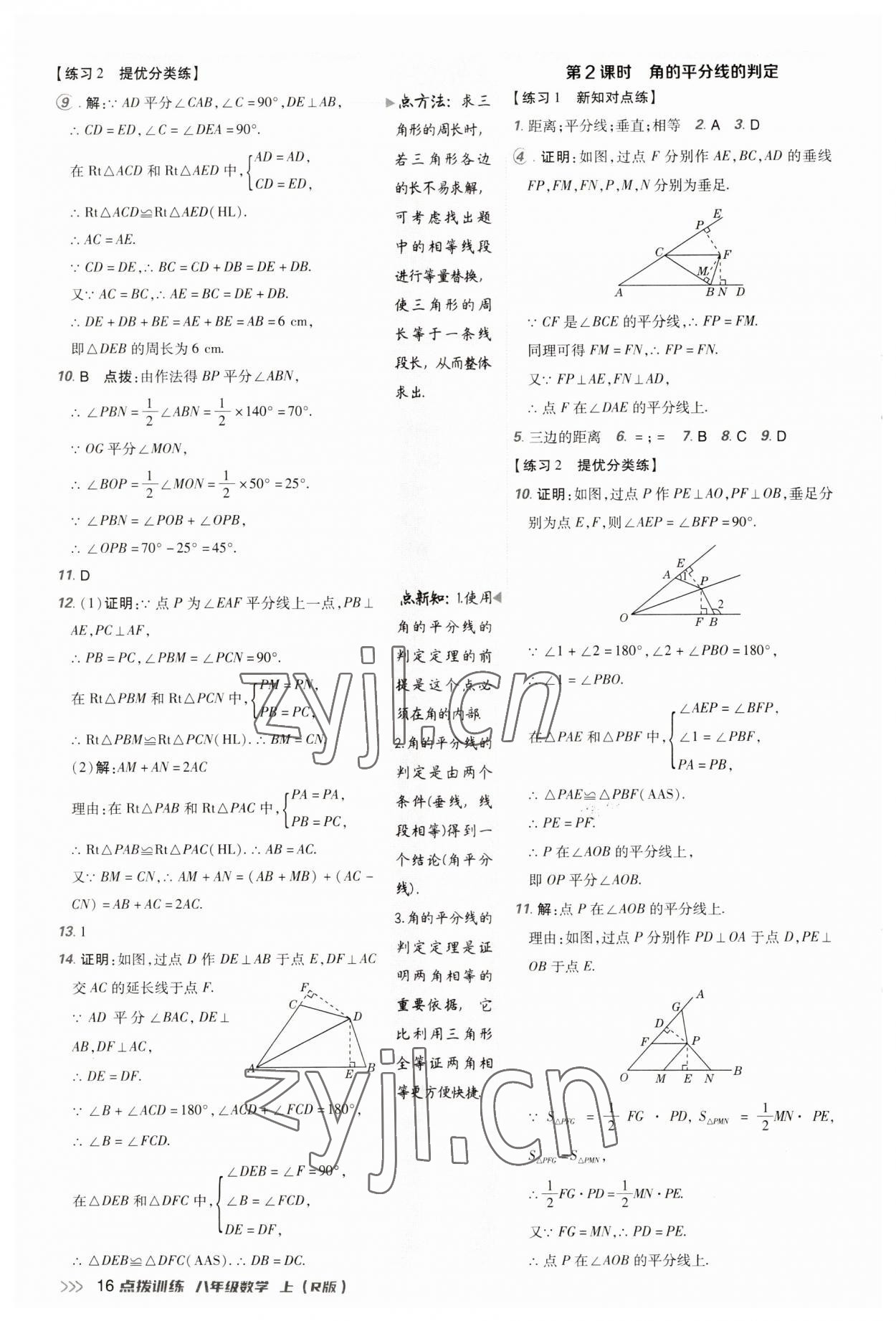 2023年点拨训练八年级数学上册人教版 第16页