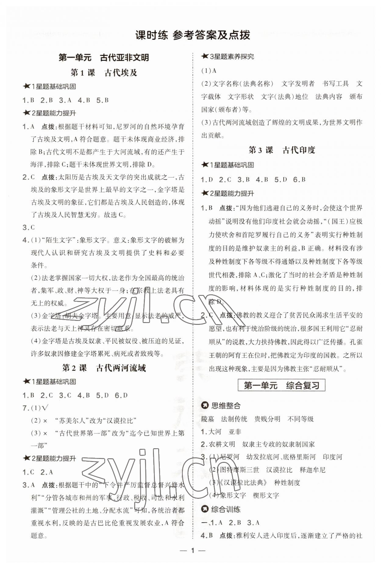 2023年點撥訓(xùn)練九年級歷史上冊人教版 參考答案第1頁