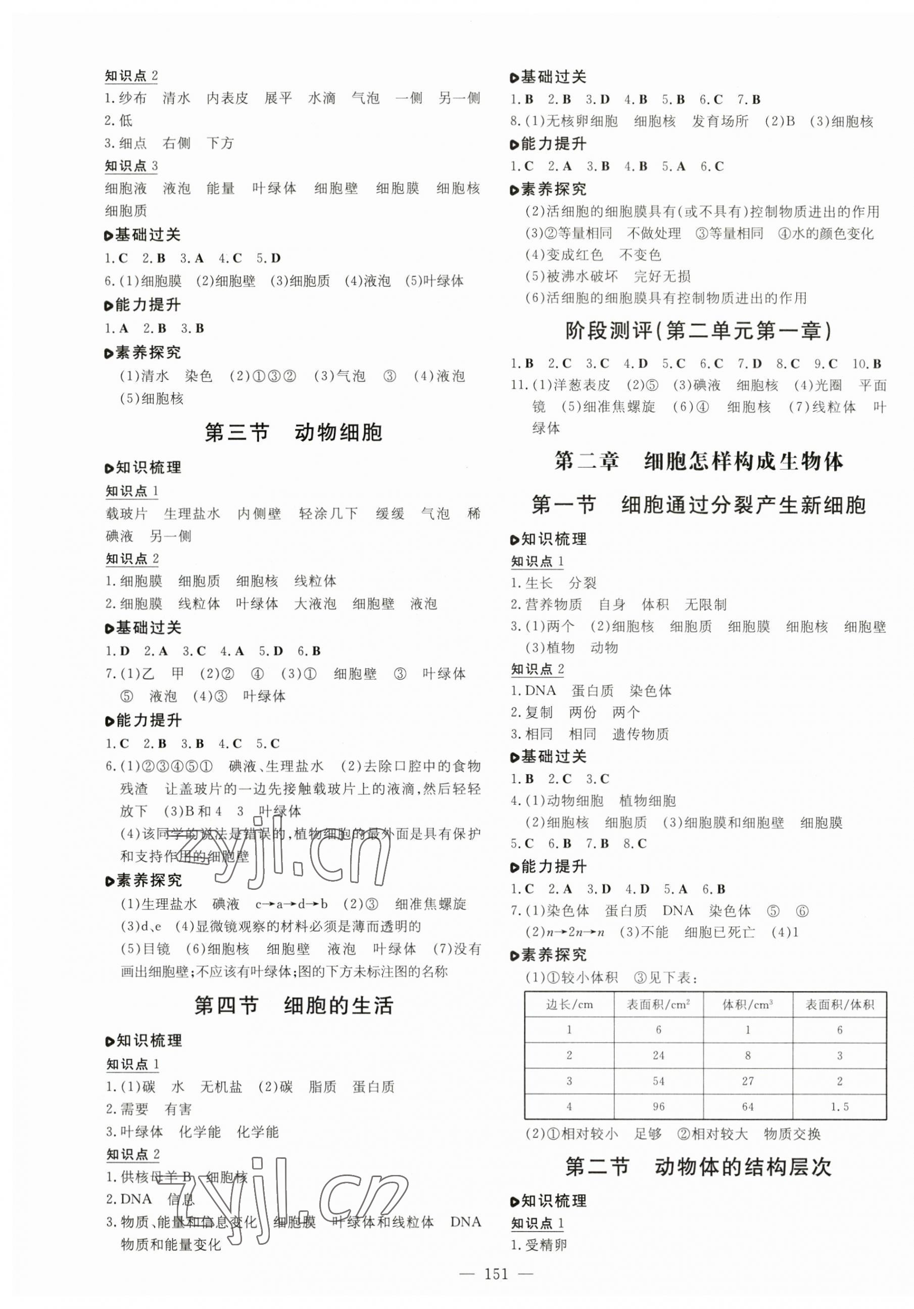 2023年练案七年级生物上册人教版 参考答案第3页