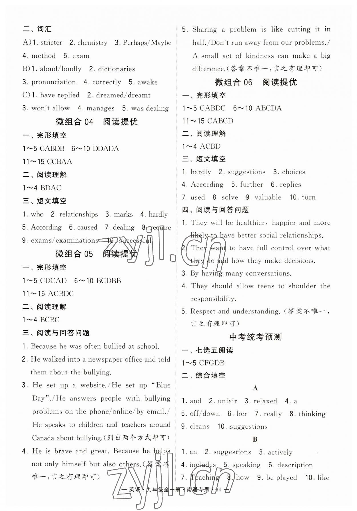 2023年學(xué)霸組合訓(xùn)練九年級(jí)英語(yǔ)全一冊(cè)譯林版南通專版 第4頁(yè)