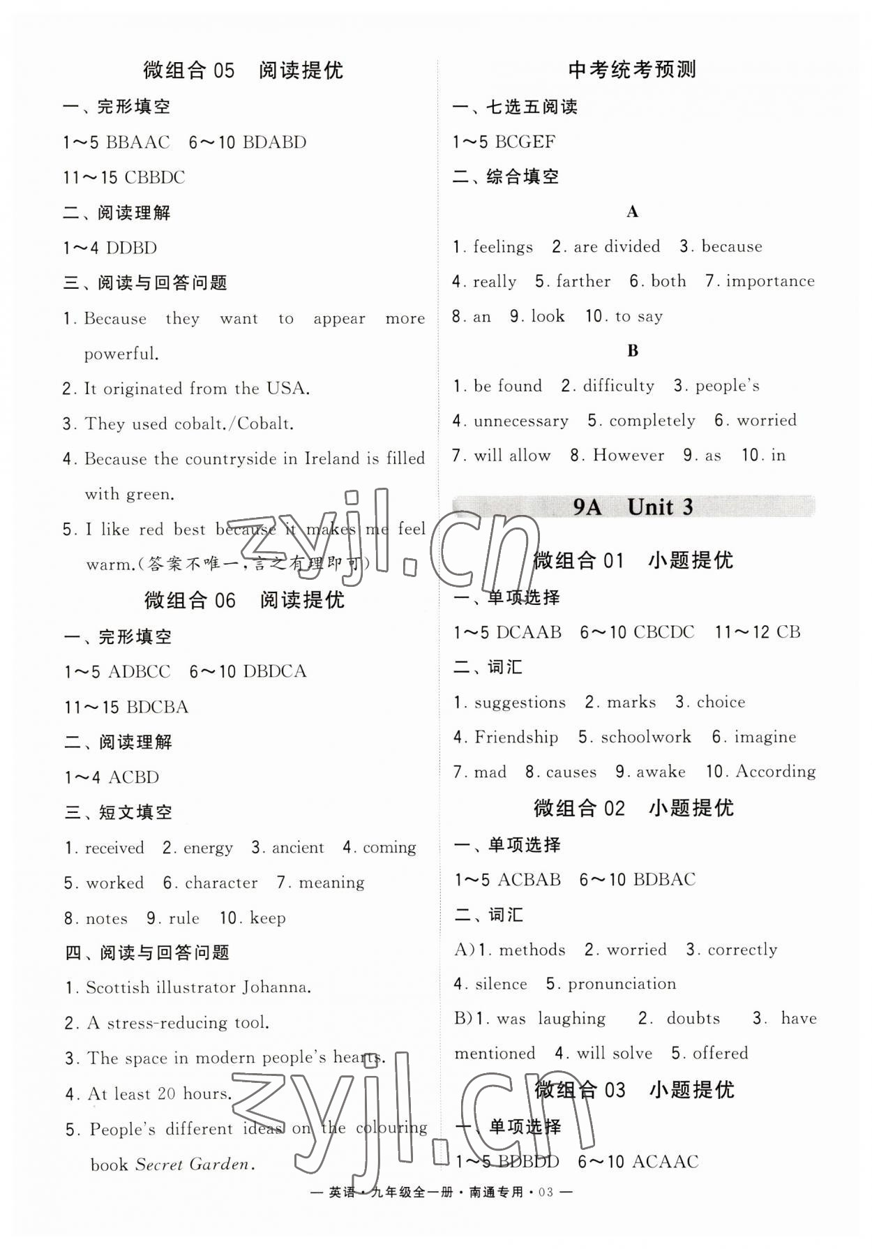 2023年學霸組合訓練九年級英語全一冊譯林版南通專版 第3頁