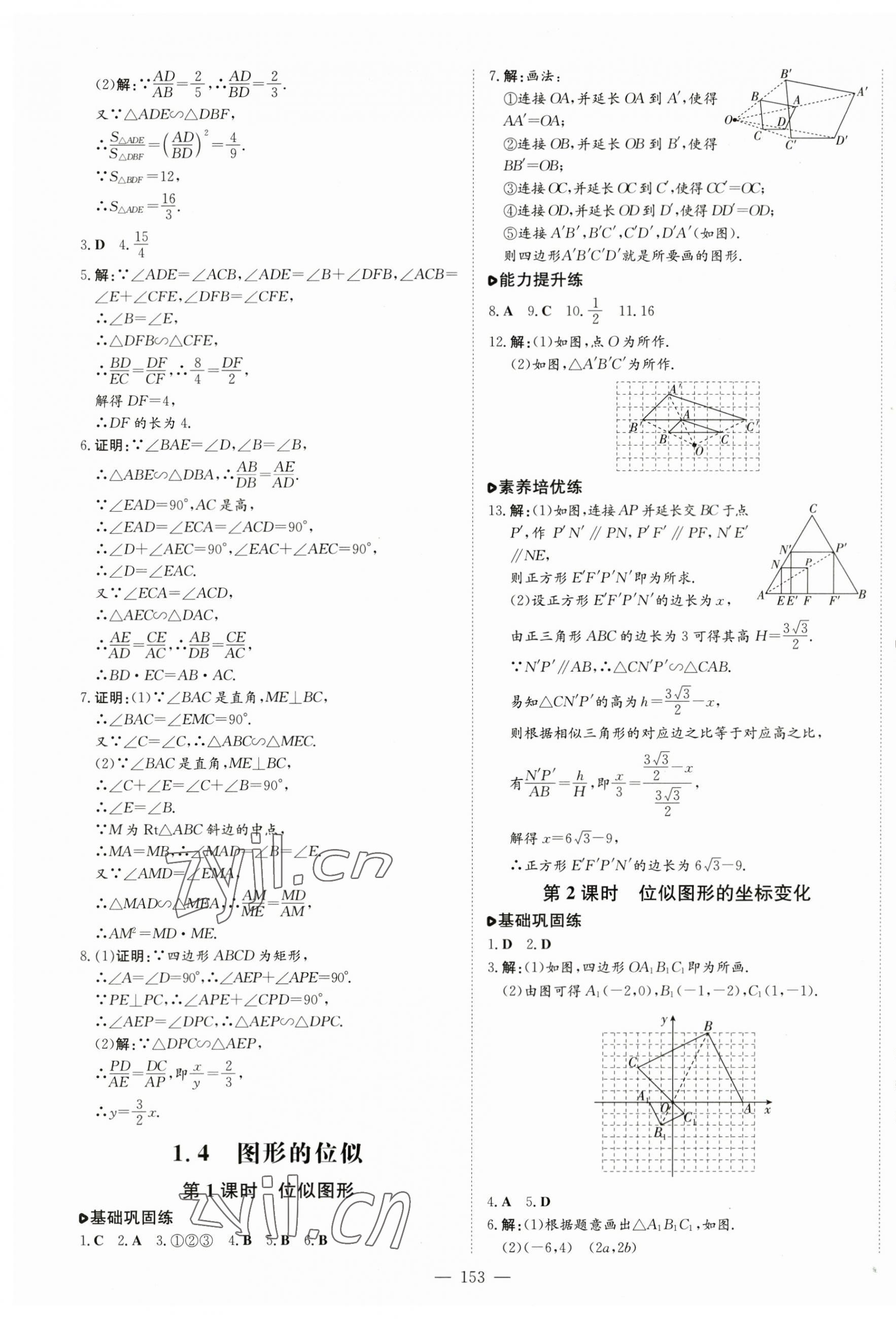 2023年練案九年級(jí)數(shù)學(xué)上冊青島版 參考答案第5頁