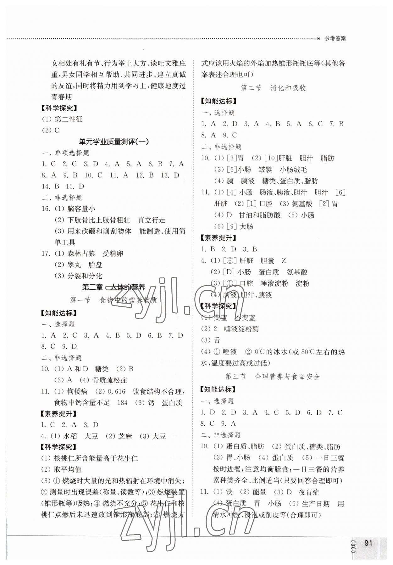 2023年同步練習(xí)冊山東教育出版社七年級生物上冊魯科版54制 參考答案第2頁