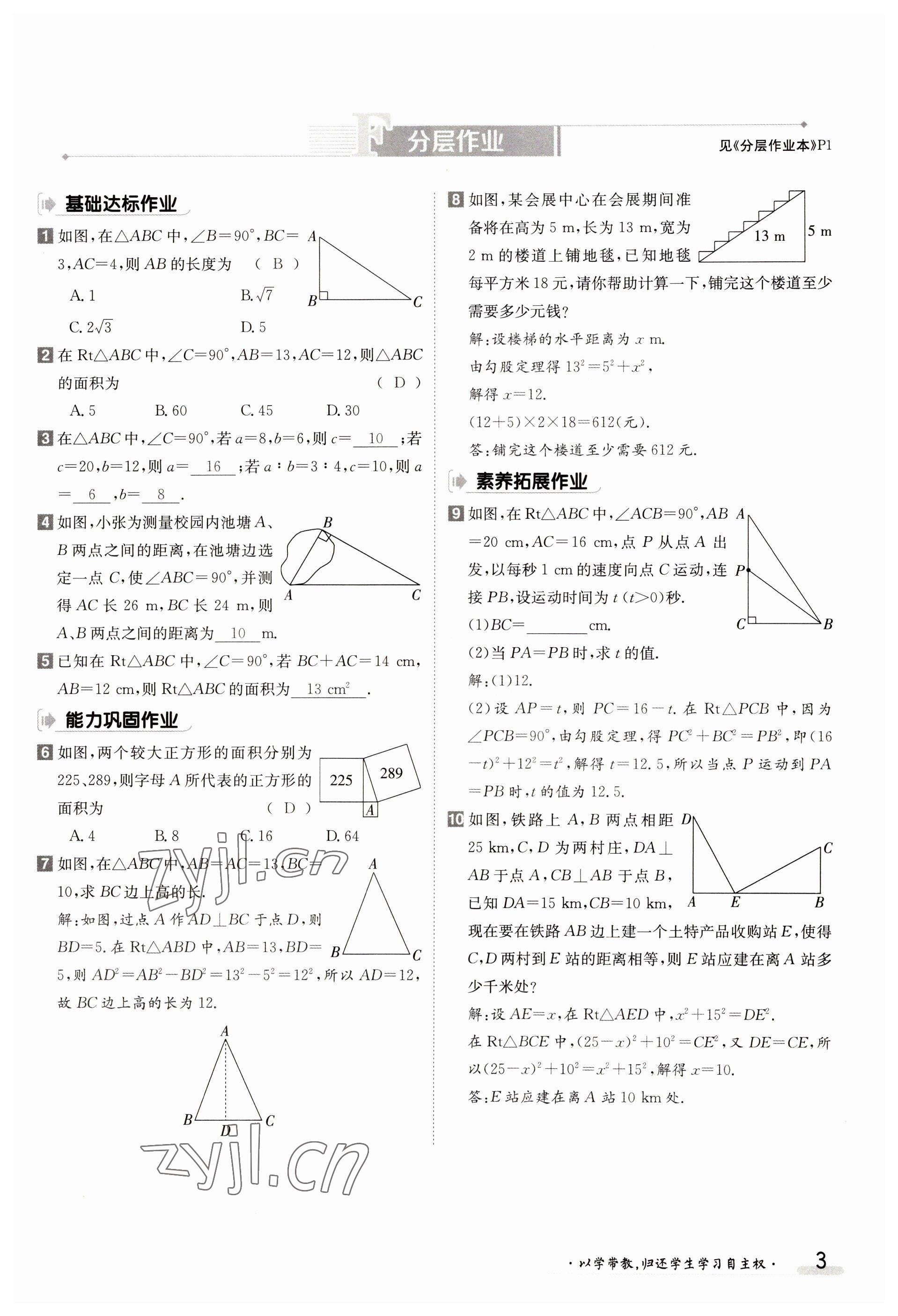 2023年金太陽導(dǎo)學(xué)案八年級(jí)數(shù)學(xué)上冊(cè)北師大版 參考答案第3頁