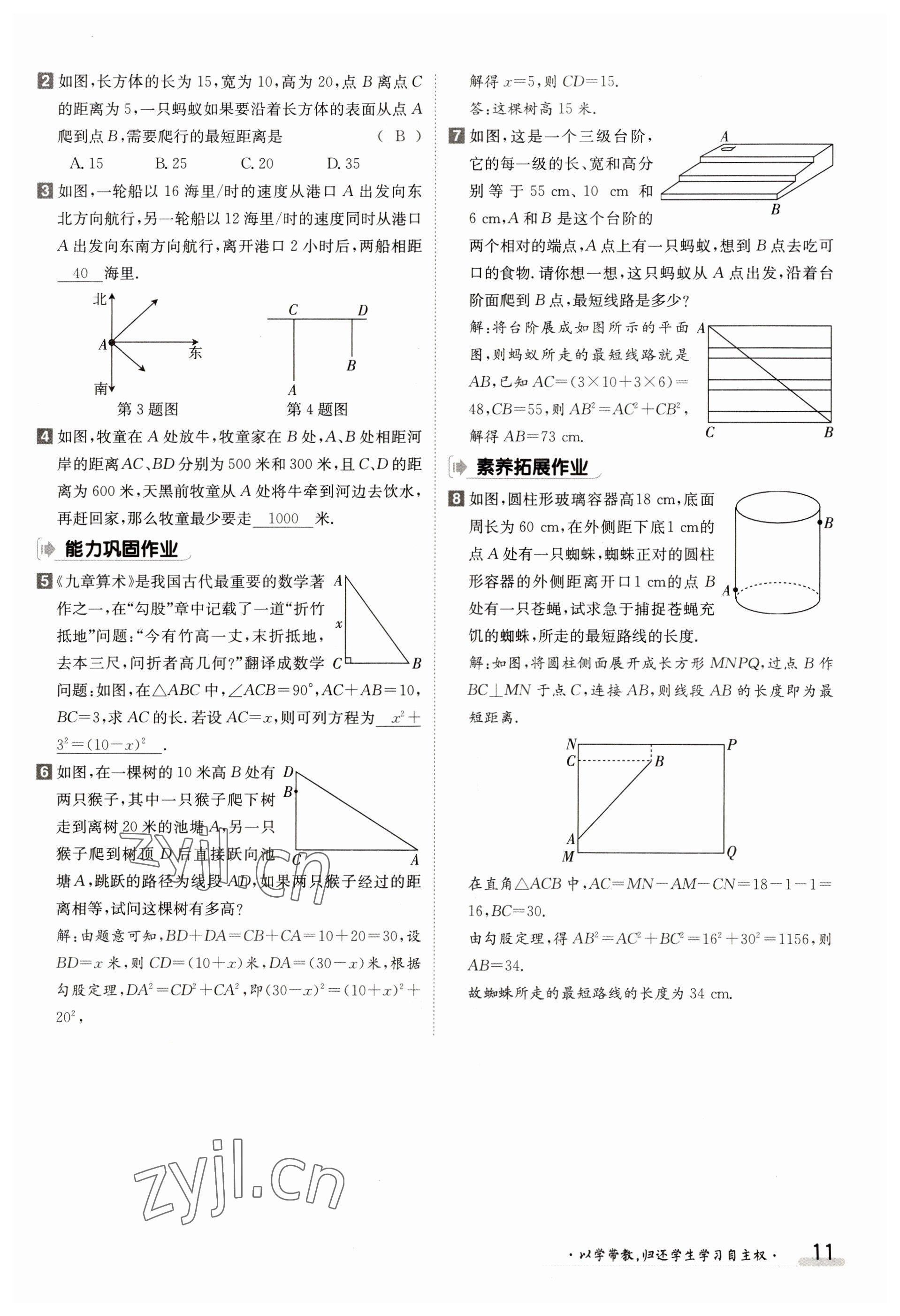 2023年金太阳导学案八年级数学上册北师大版 参考答案第11页