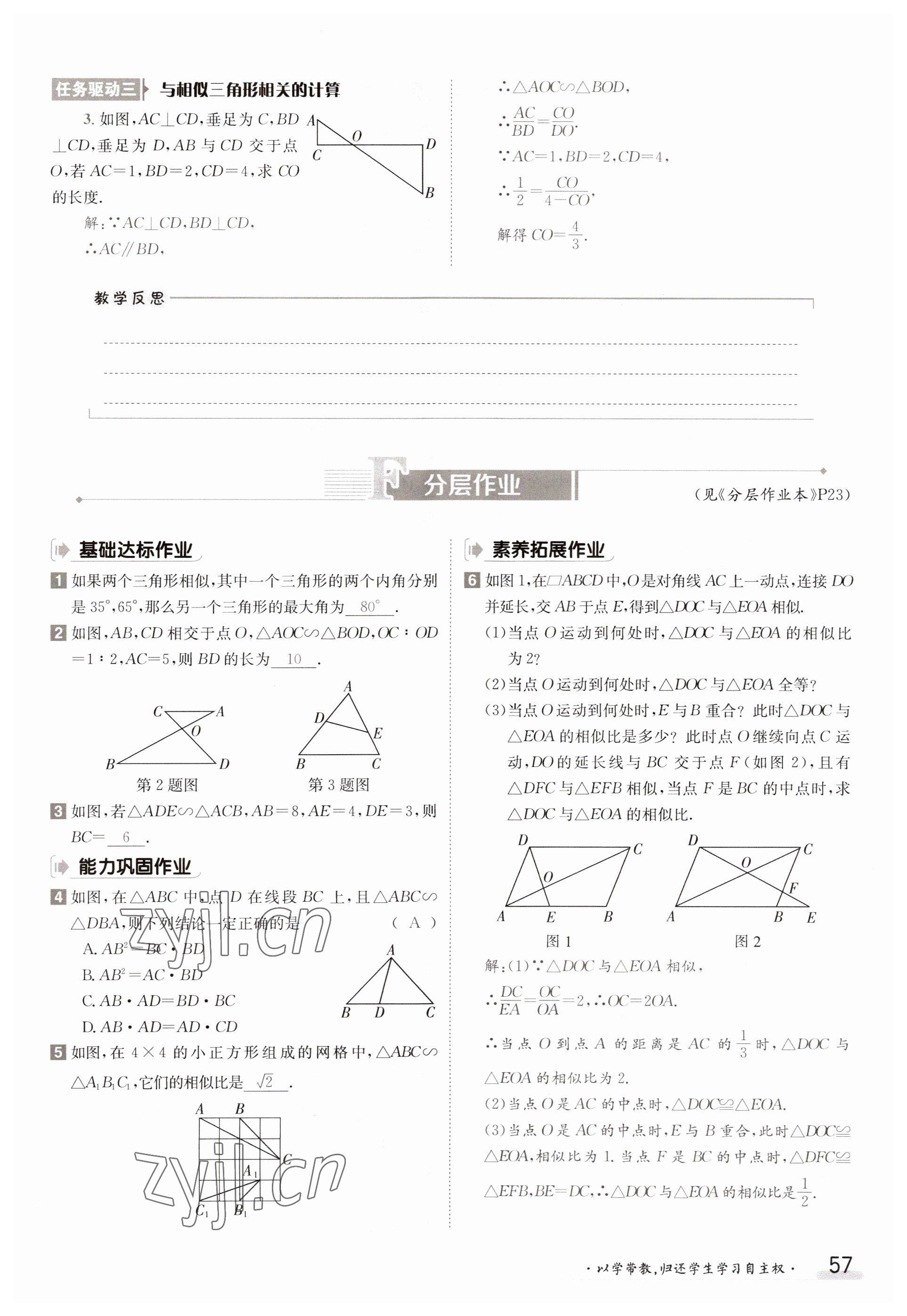 2023年金太陽導學案九年級數(shù)學華師大版 參考答案第57頁