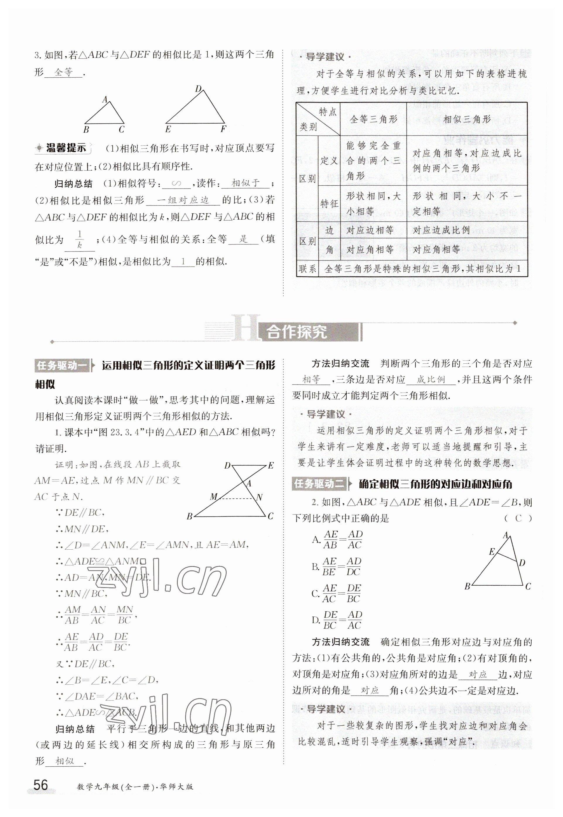 2023年金太阳导学案九年级数学华师大版 参考答案第56页