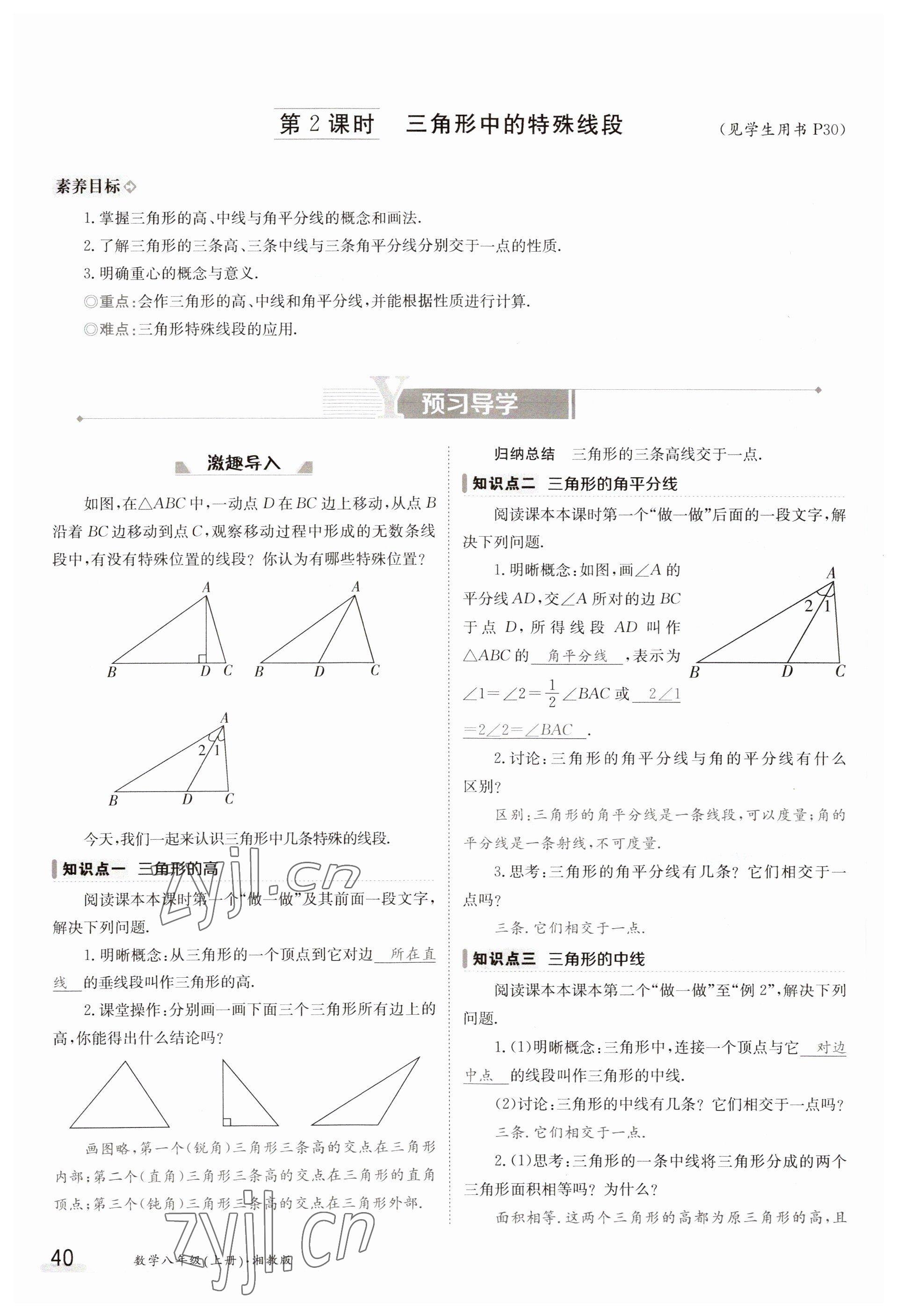 2023年金太陽導(dǎo)學(xué)案八年級數(shù)學(xué)上冊湘教版 參考答案第40頁