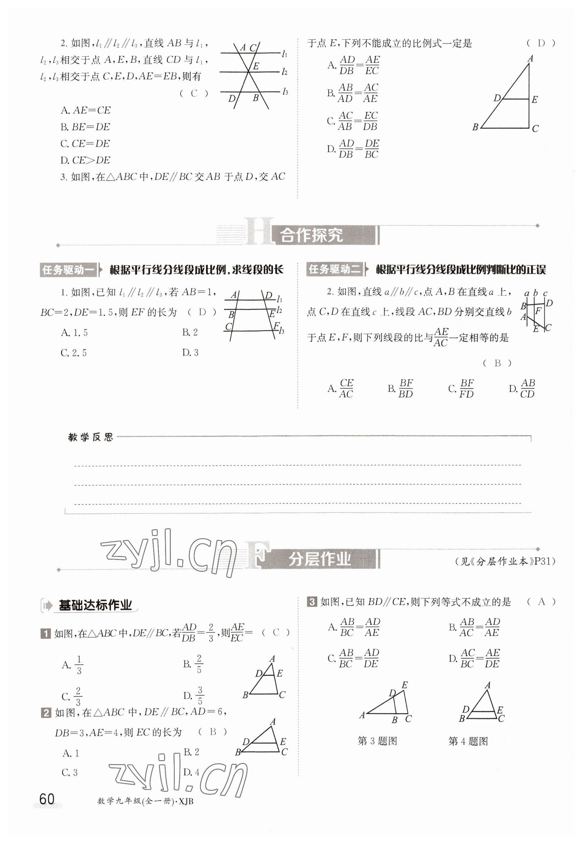 2023年金太陽導(dǎo)學(xué)案九年級數(shù)學(xué)湘教版 參考答案第60頁