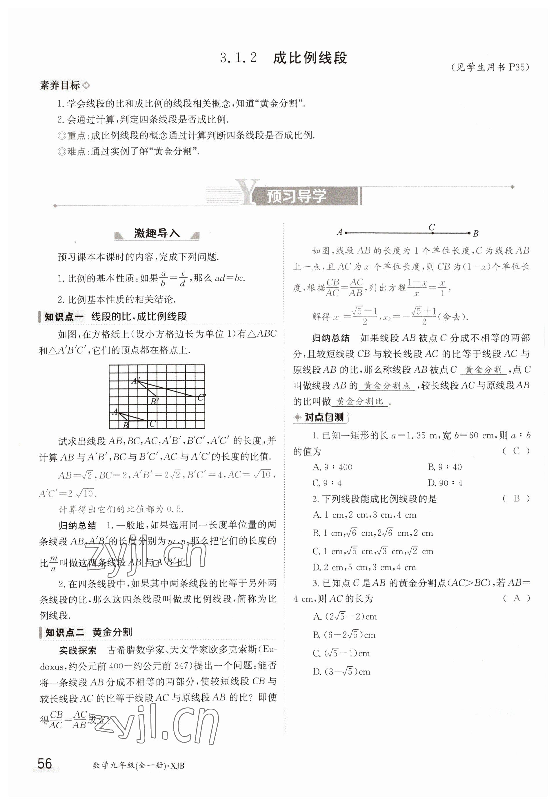 2023年金太阳导学案九年级数学湘教版 参考答案第56页