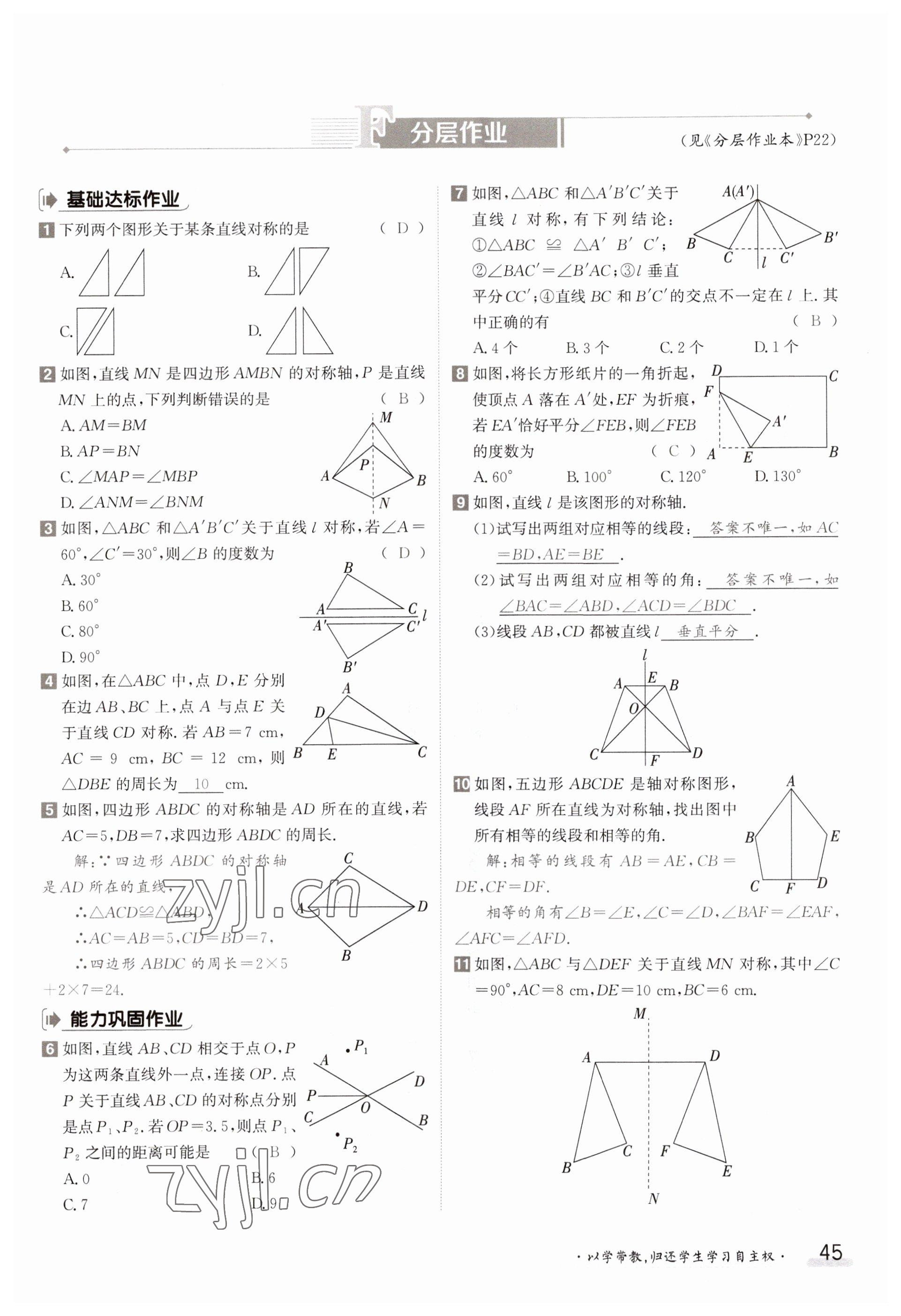 2023年金太陽導學案八年級數(shù)學上冊蘇科版 參考答案第45頁