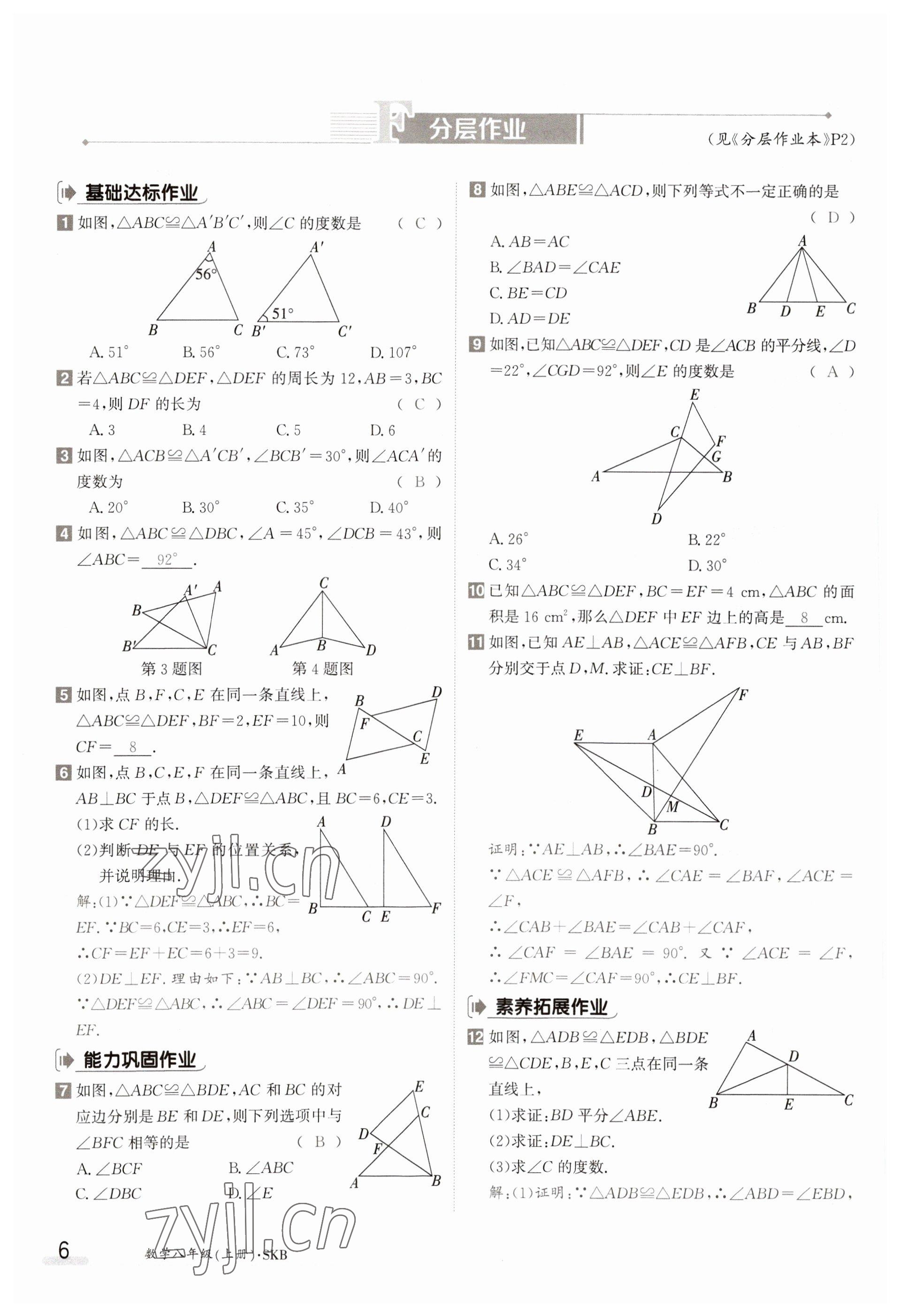 2023年金太陽導學案八年級數(shù)學上冊蘇科版 參考答案第6頁