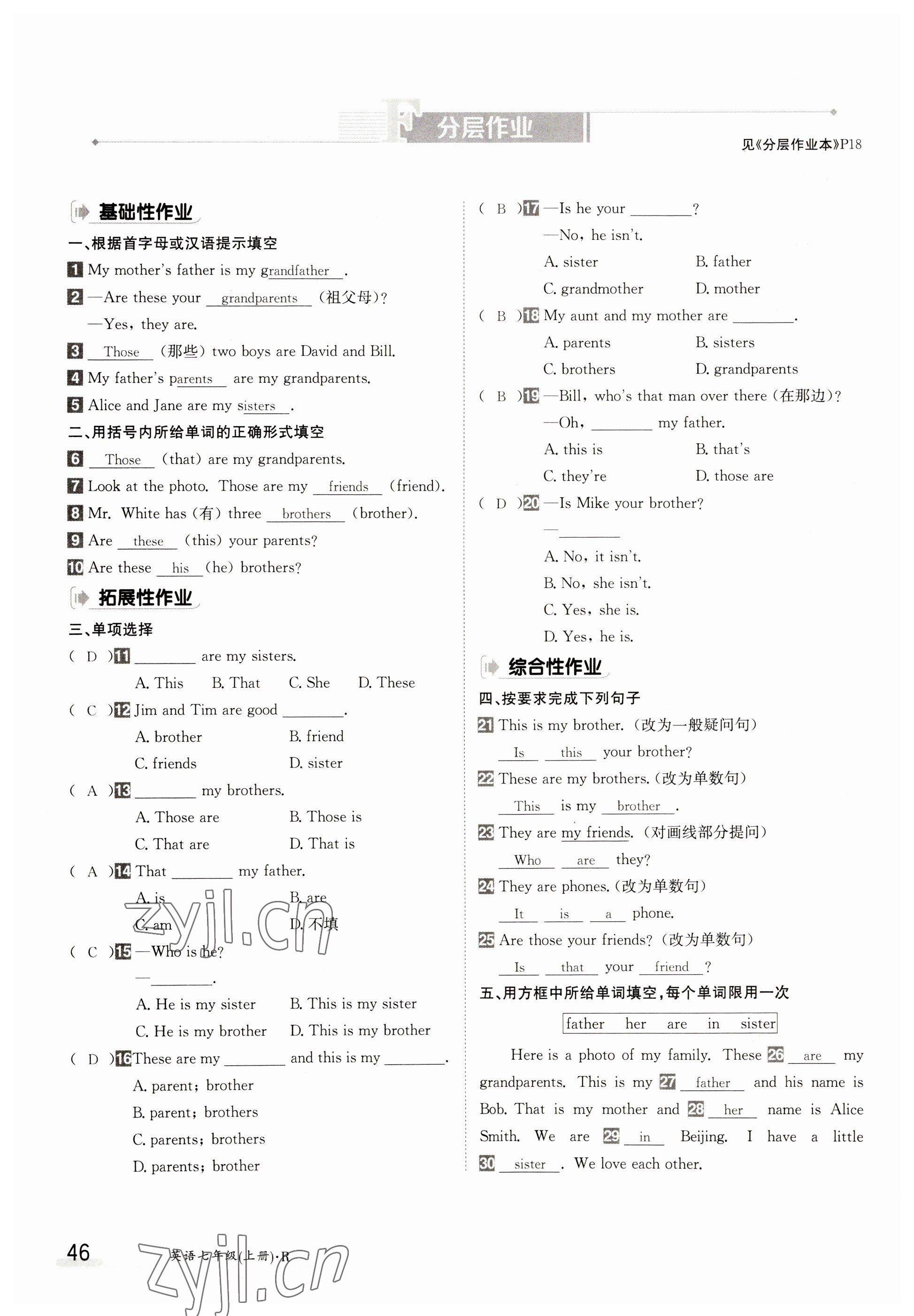 2023年金太陽導(dǎo)學(xué)案七年級英語上冊人教版 參考答案第46頁