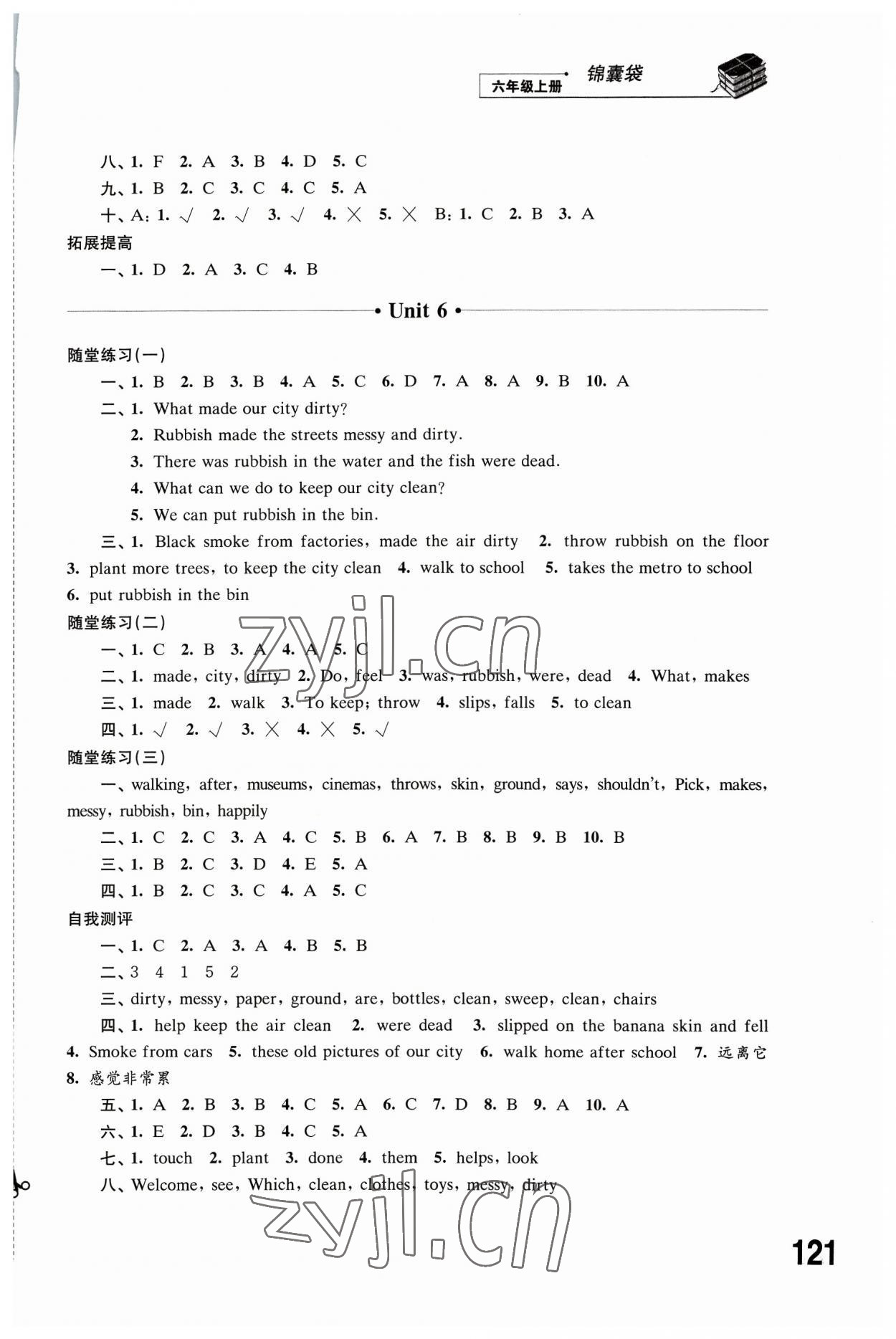 2023年同步練習(xí)江蘇六年級(jí)英語上冊(cè)譯林版 第6頁