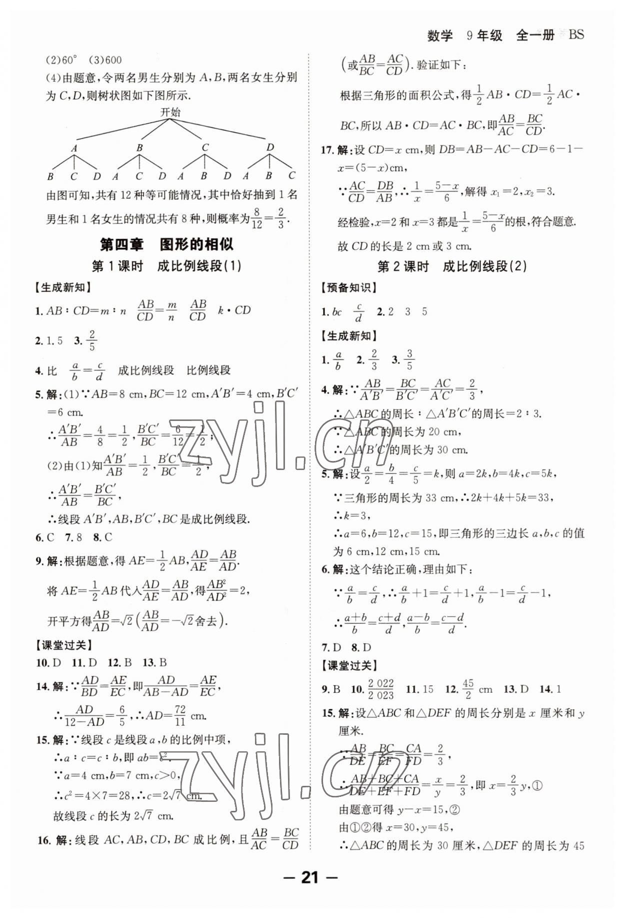 2023年全程突破九年級數(shù)學(xué)全一冊北師大版 第21頁