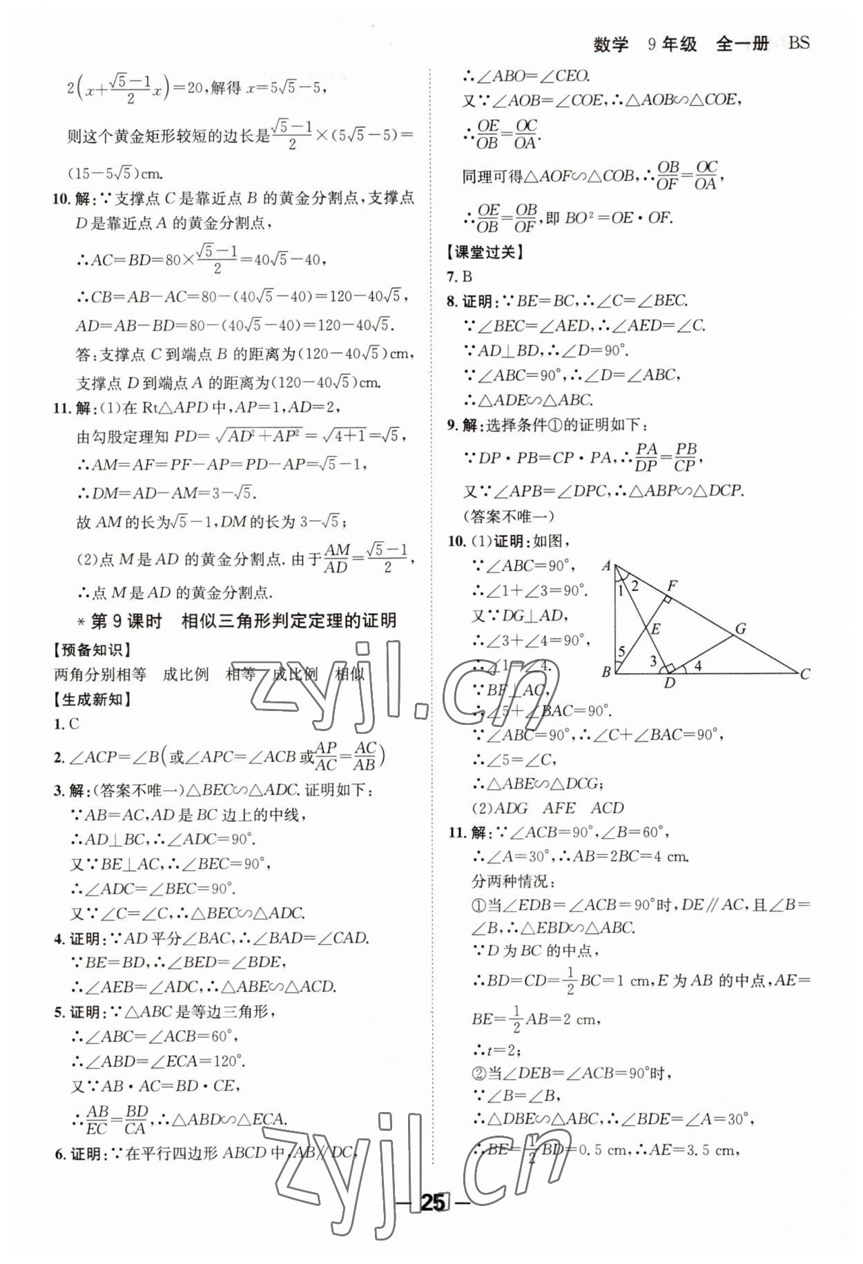 2023年全程突破九年級數(shù)學(xué)全一冊北師大版 第25頁