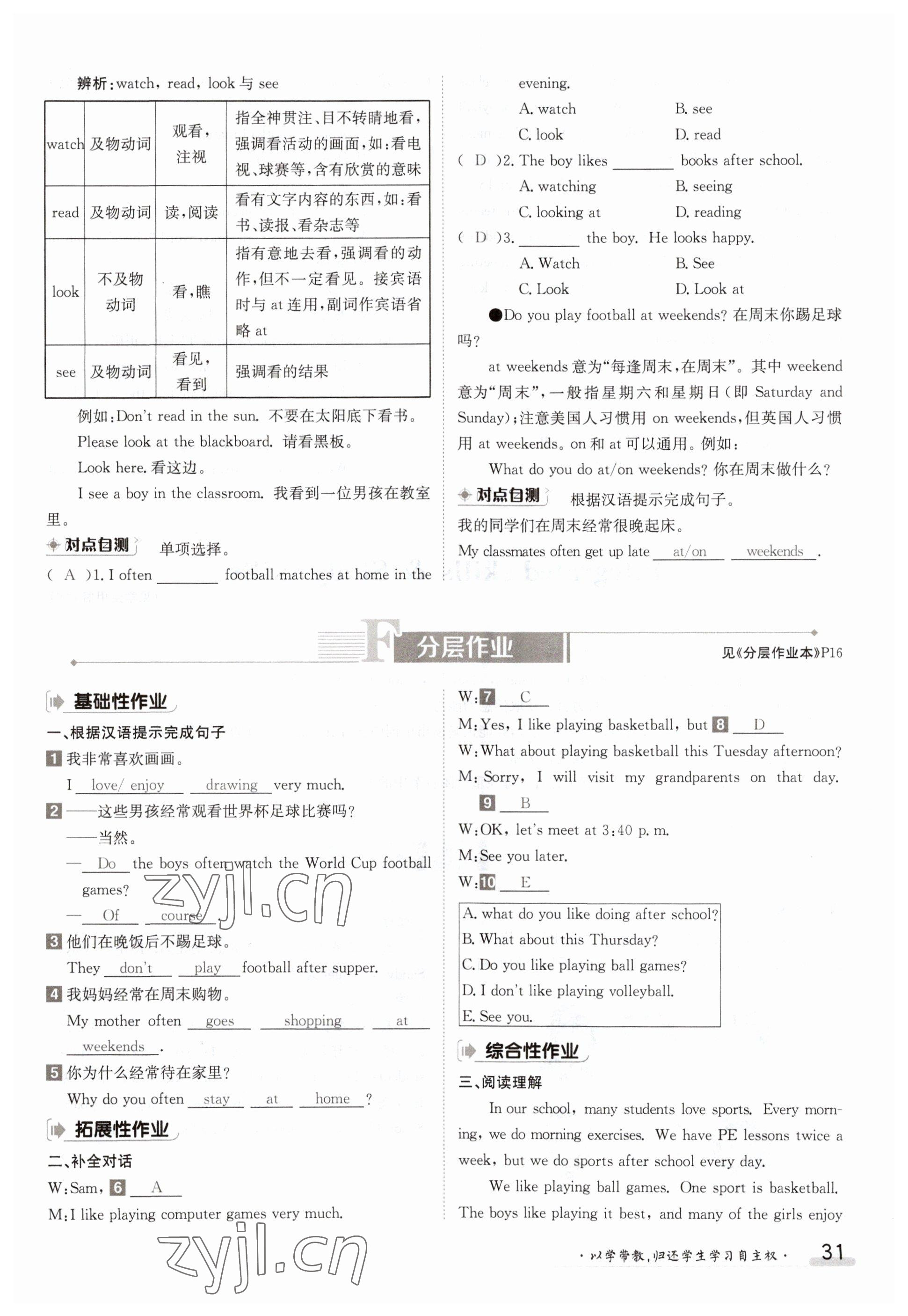 2023年金太阳导学案七年级英语上册译林版 参考答案第31页