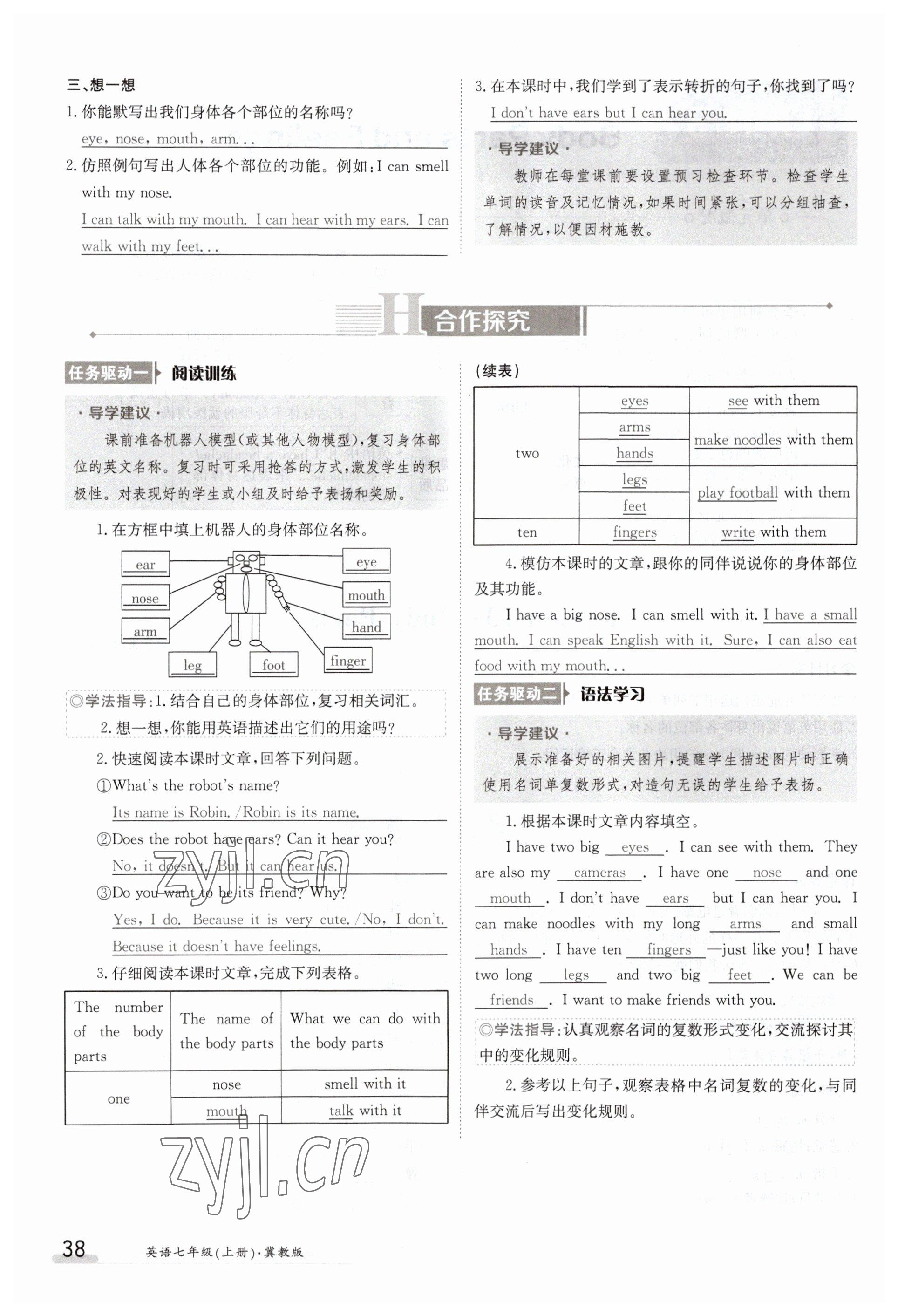 2023年金太陽導(dǎo)學(xué)案七年級英語上冊冀教版 參考答案第38頁