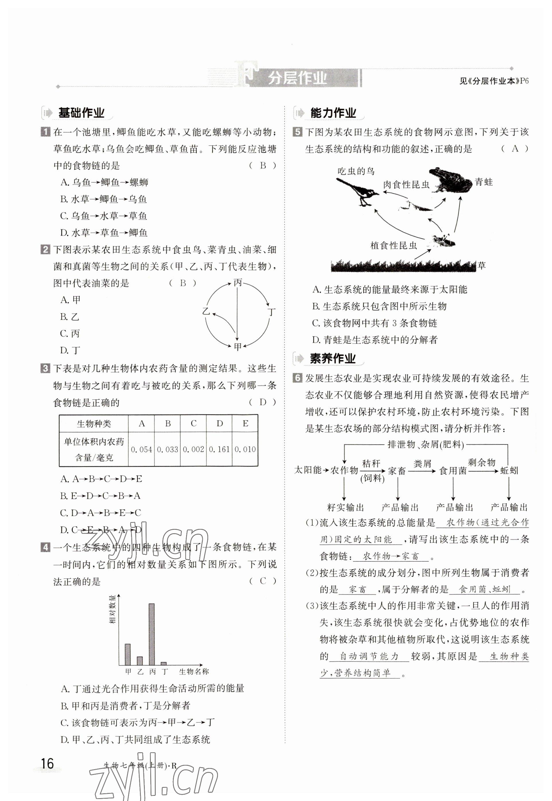 2023年金太陽(yáng)導(dǎo)學(xué)案七年級(jí)生物上冊(cè)人教版 參考答案第16頁(yè)