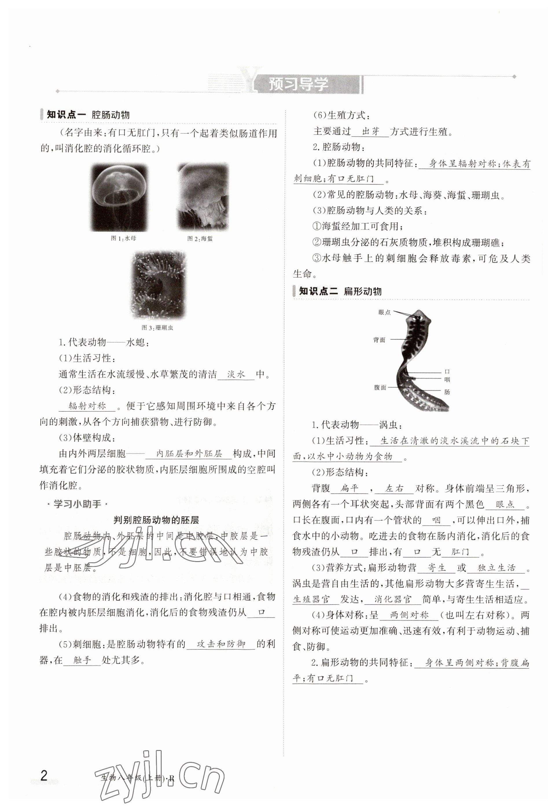 2023年金太陽導(dǎo)學(xué)案八年級生物上冊人教版 參考答案第2頁