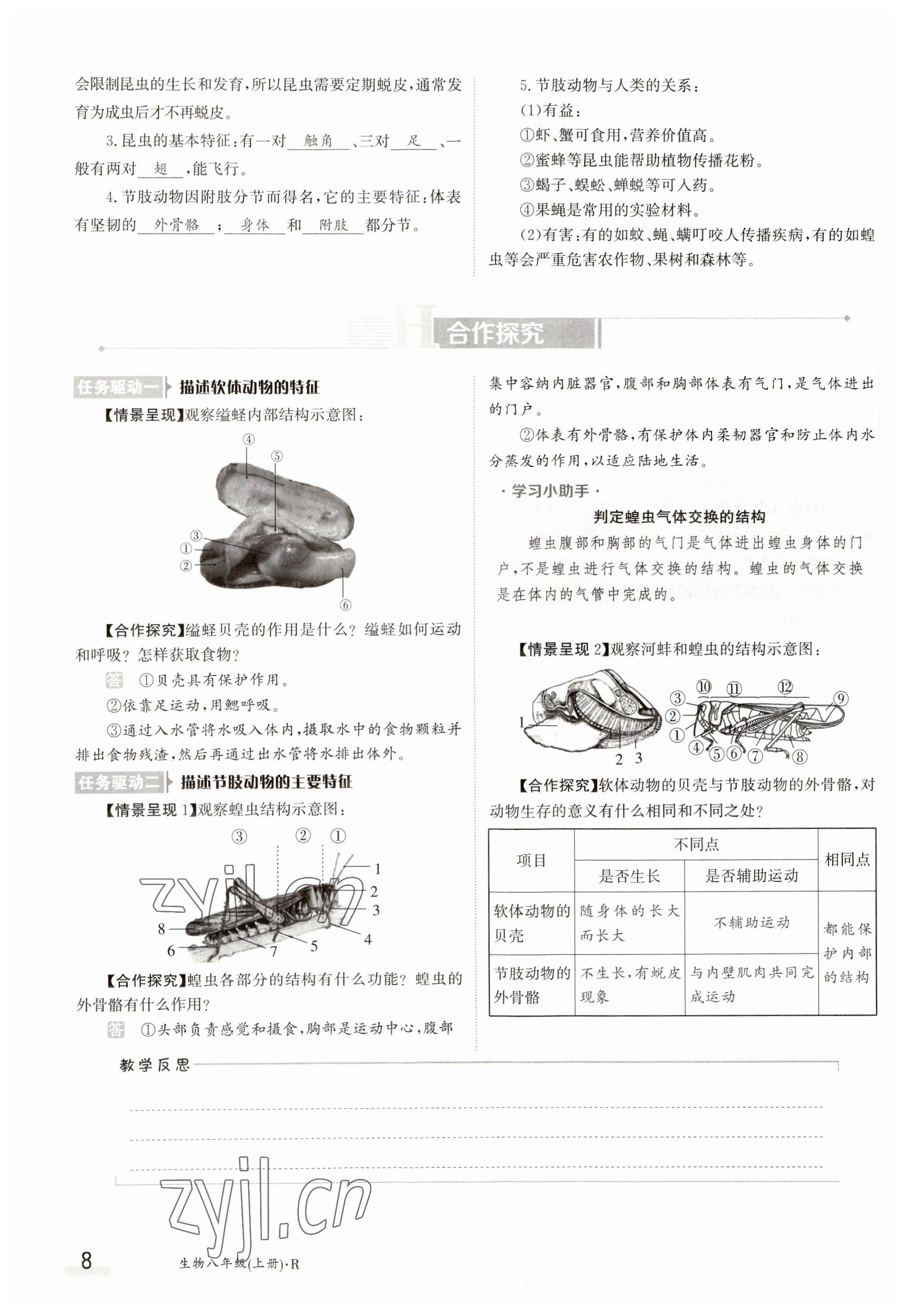 2023年金太陽(yáng)導(dǎo)學(xué)案八年級(jí)生物上冊(cè)人教版 參考答案第8頁(yè)