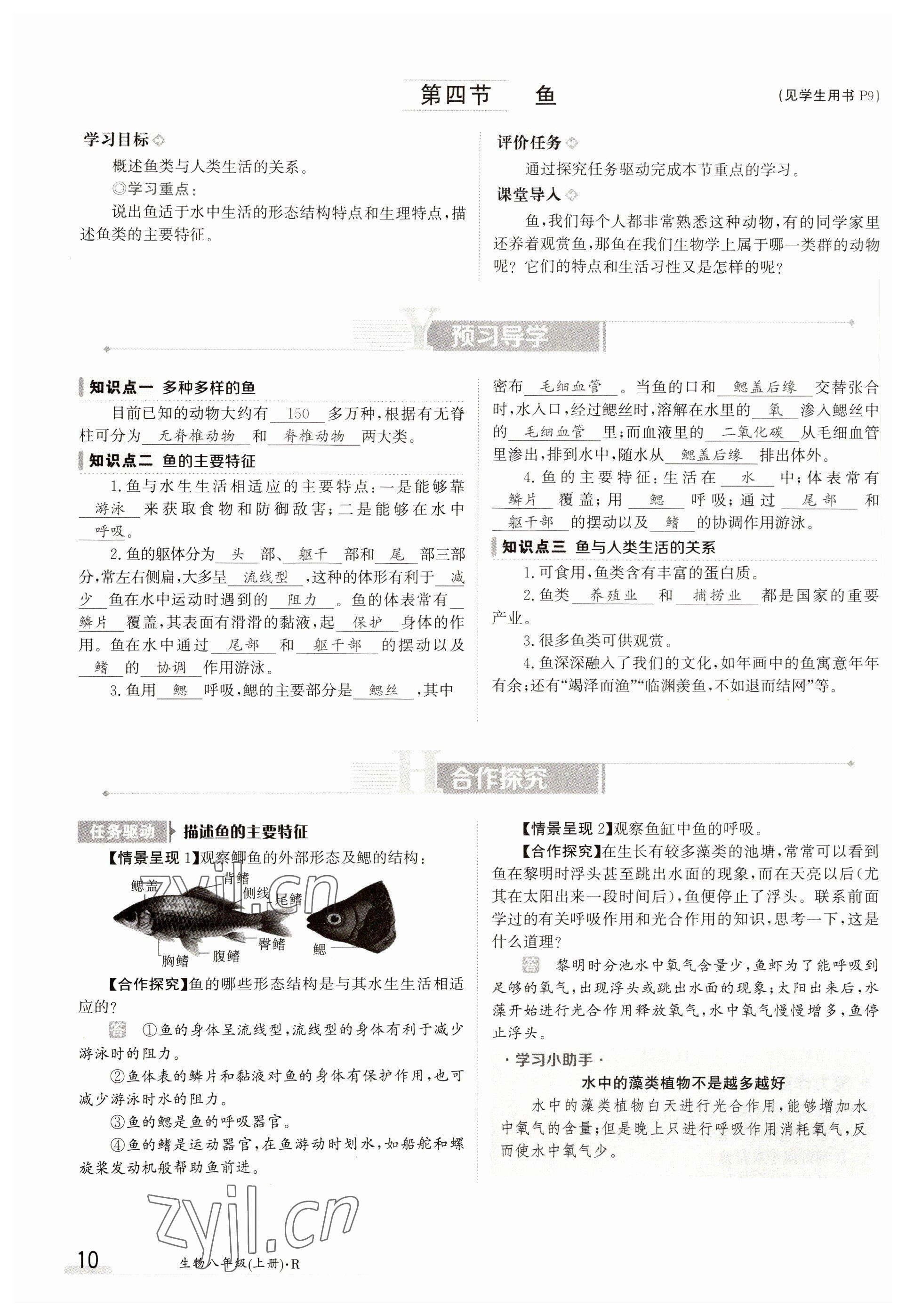 2023年金太阳导学案八年级生物上册人教版 参考答案第10页