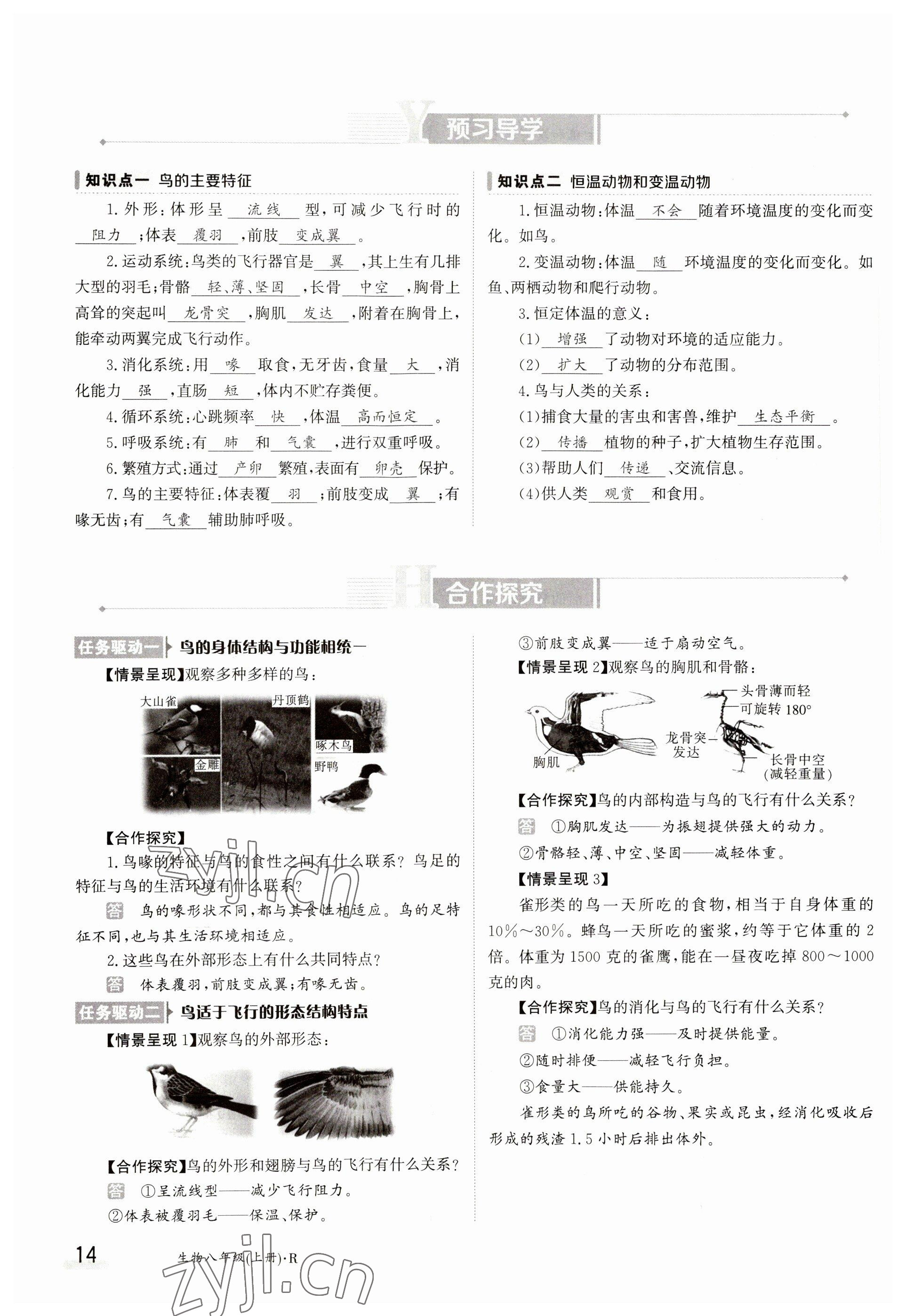 2023年金太陽導(dǎo)學(xué)案八年級生物上冊人教版 參考答案第14頁