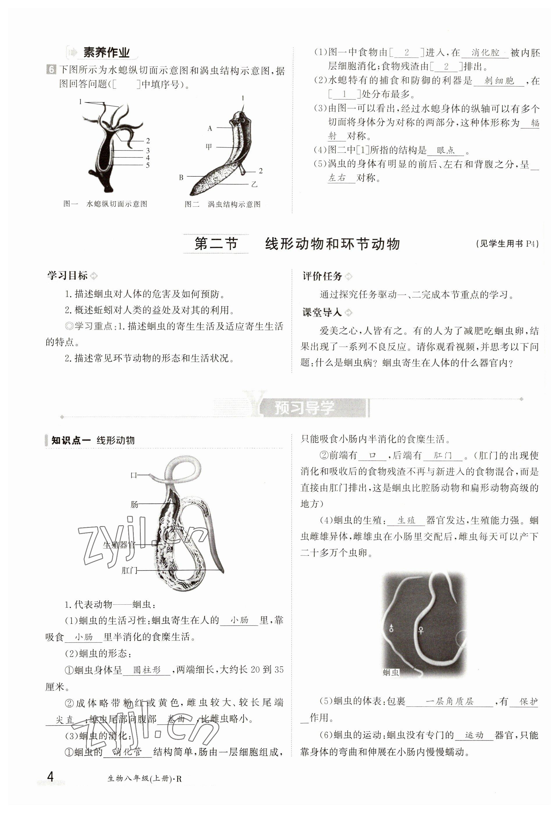 2023年金太陽導(dǎo)學(xué)案八年級(jí)生物上冊人教版 參考答案第4頁