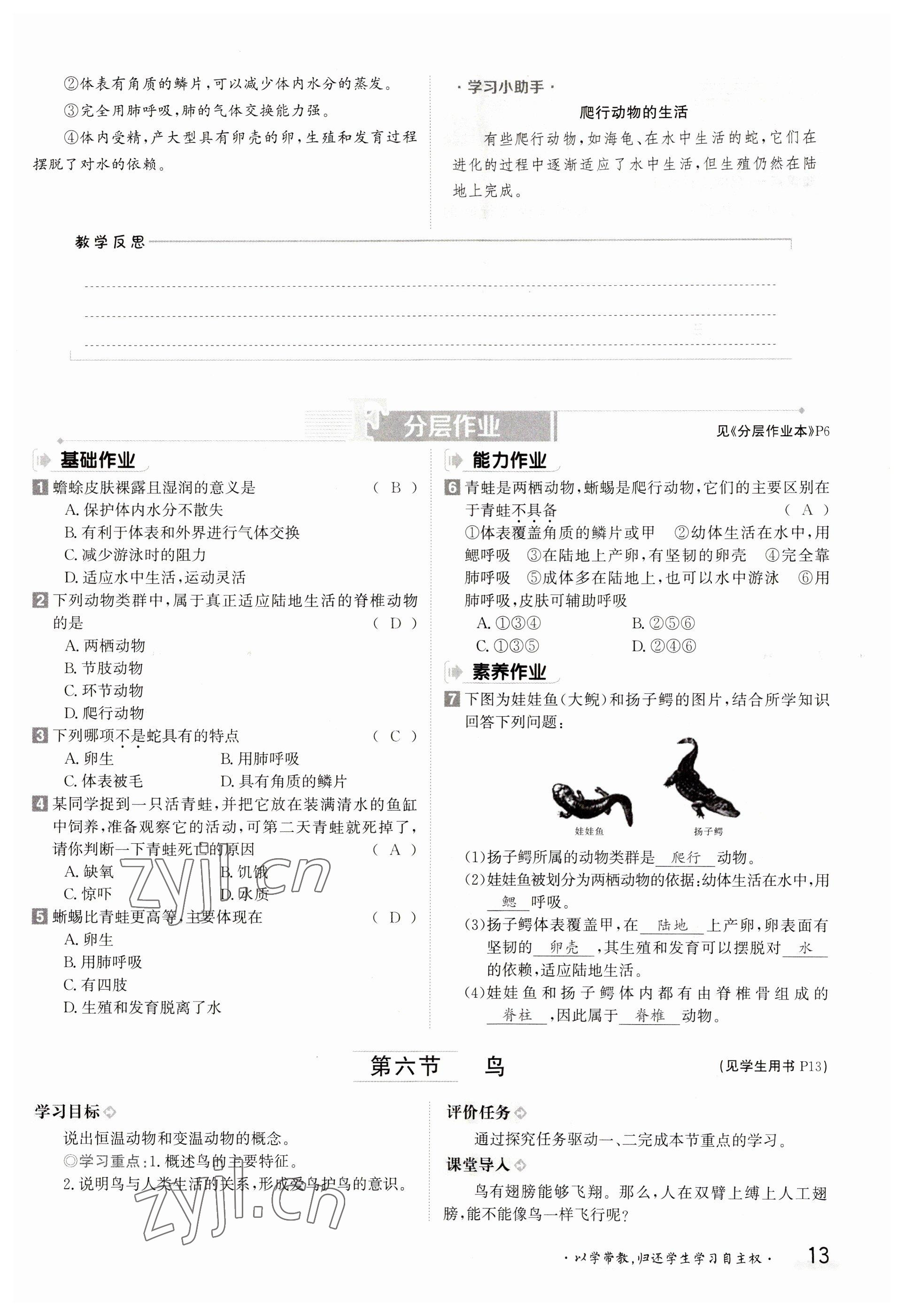 2023年金太陽導(dǎo)學(xué)案八年級生物上冊人教版 參考答案第13頁