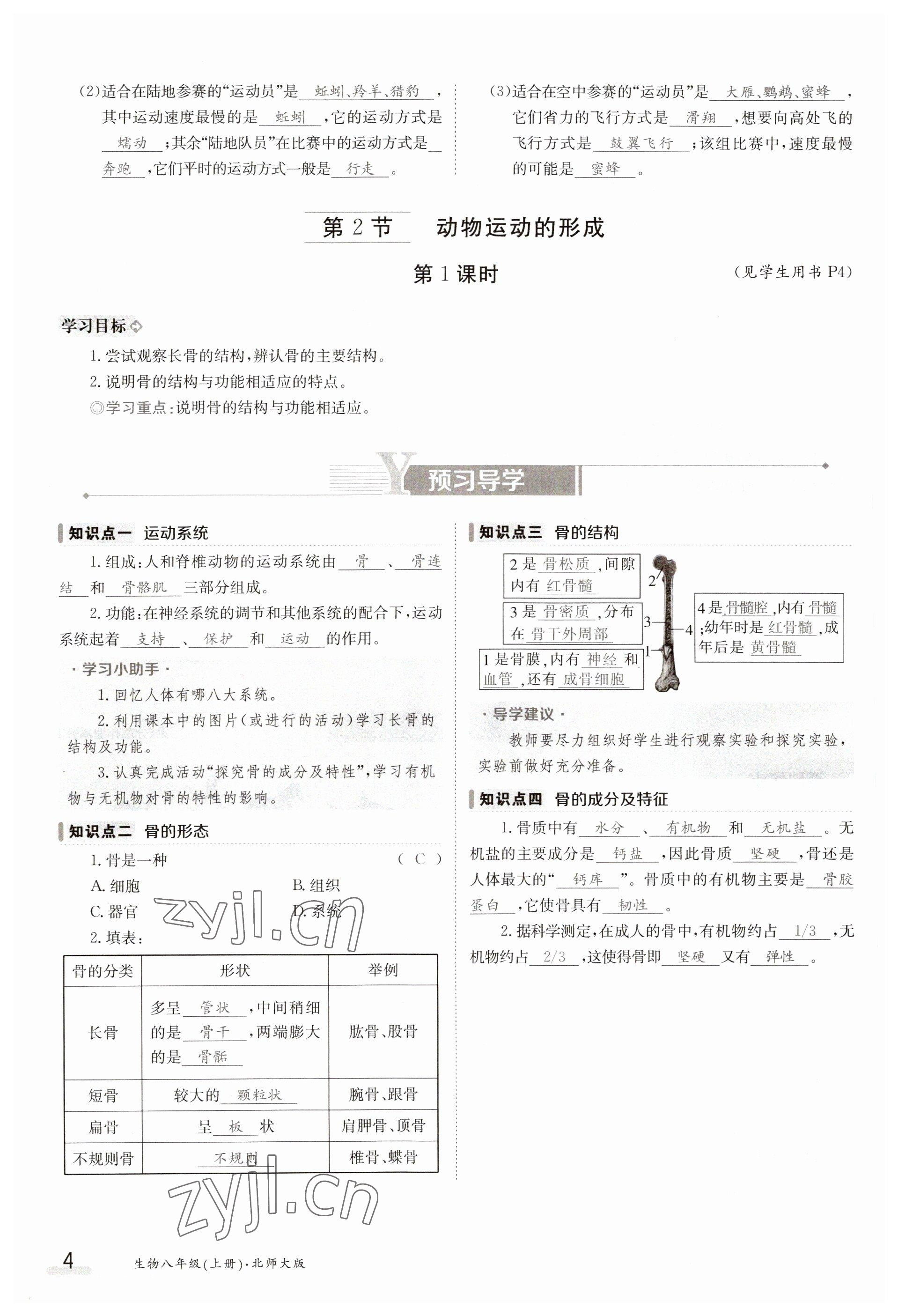 2023年金太阳导学案八年级生物上册北师大版 参考答案第4页