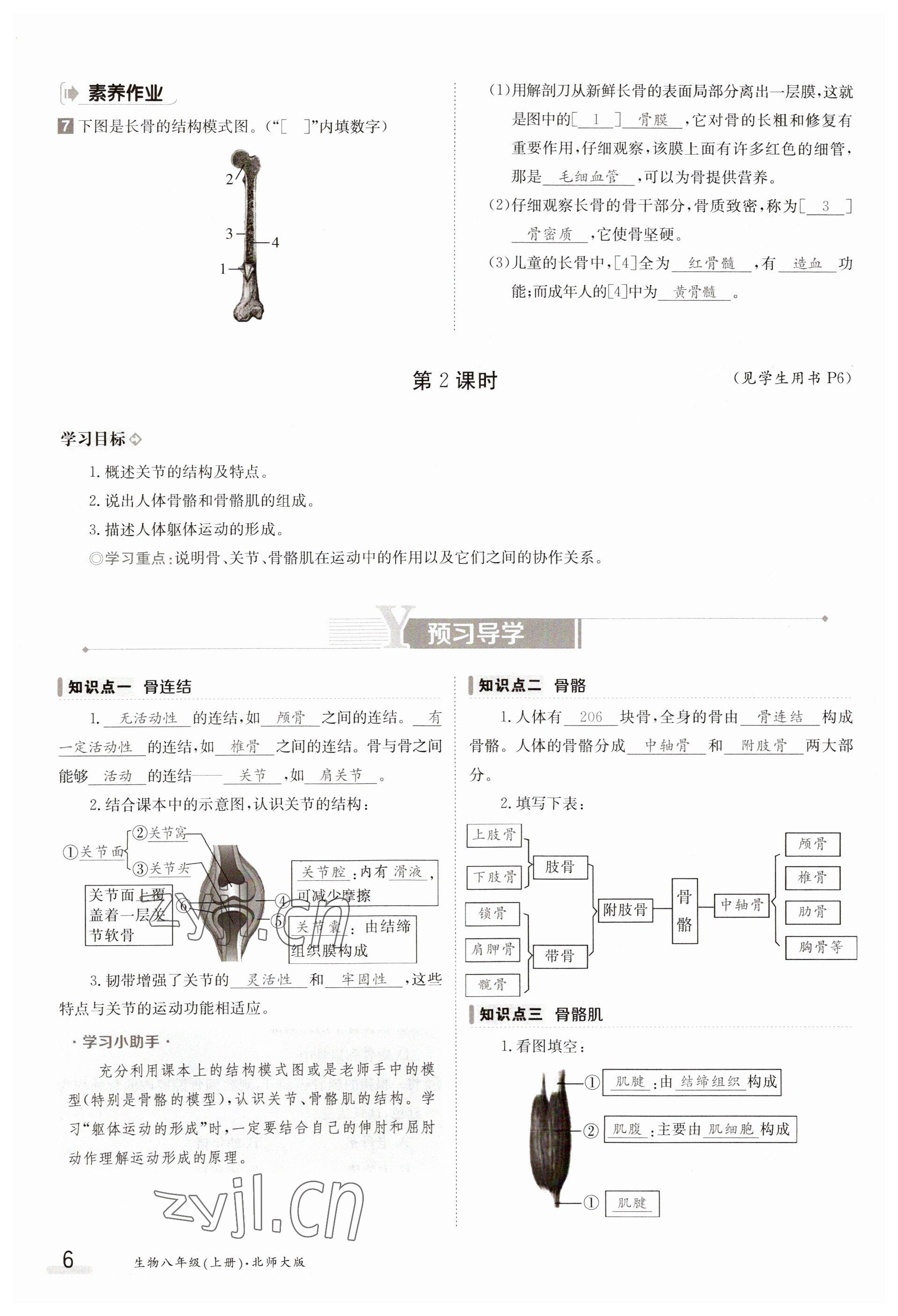 2023年金太阳导学案八年级生物上册北师大版 参考答案第6页